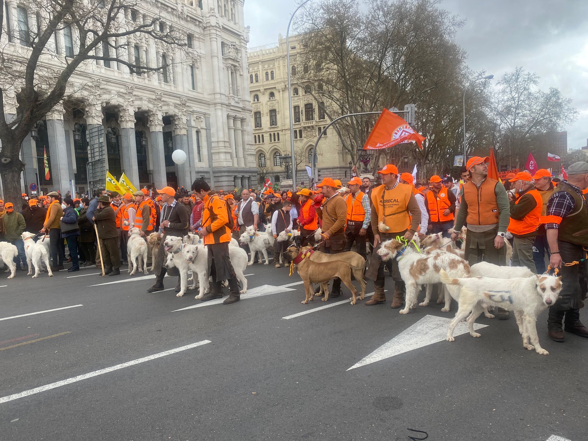 Manifestación del mundo rural en Madrid | Cientos de miles de ...