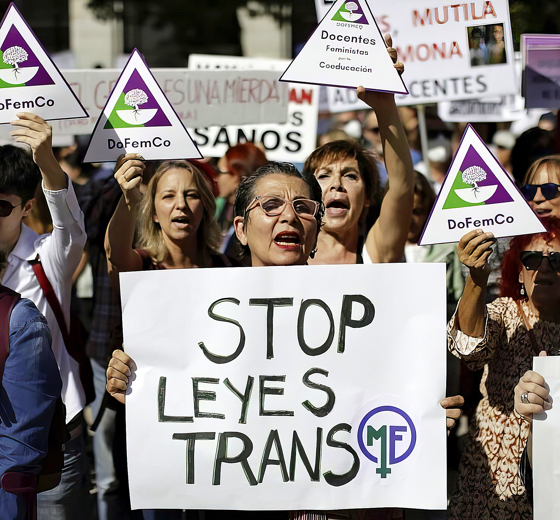 División por la reforma de la Ley Trans de Ayuso: "Se está empujando a ...