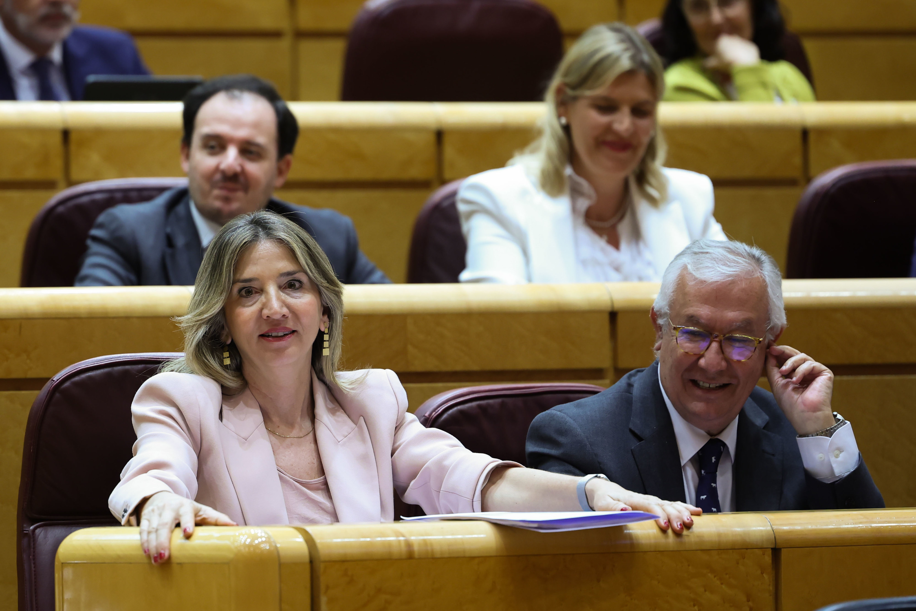 El PP vuelve a pedir en el Senado un informe al Consejo Fiscal sobre la ...