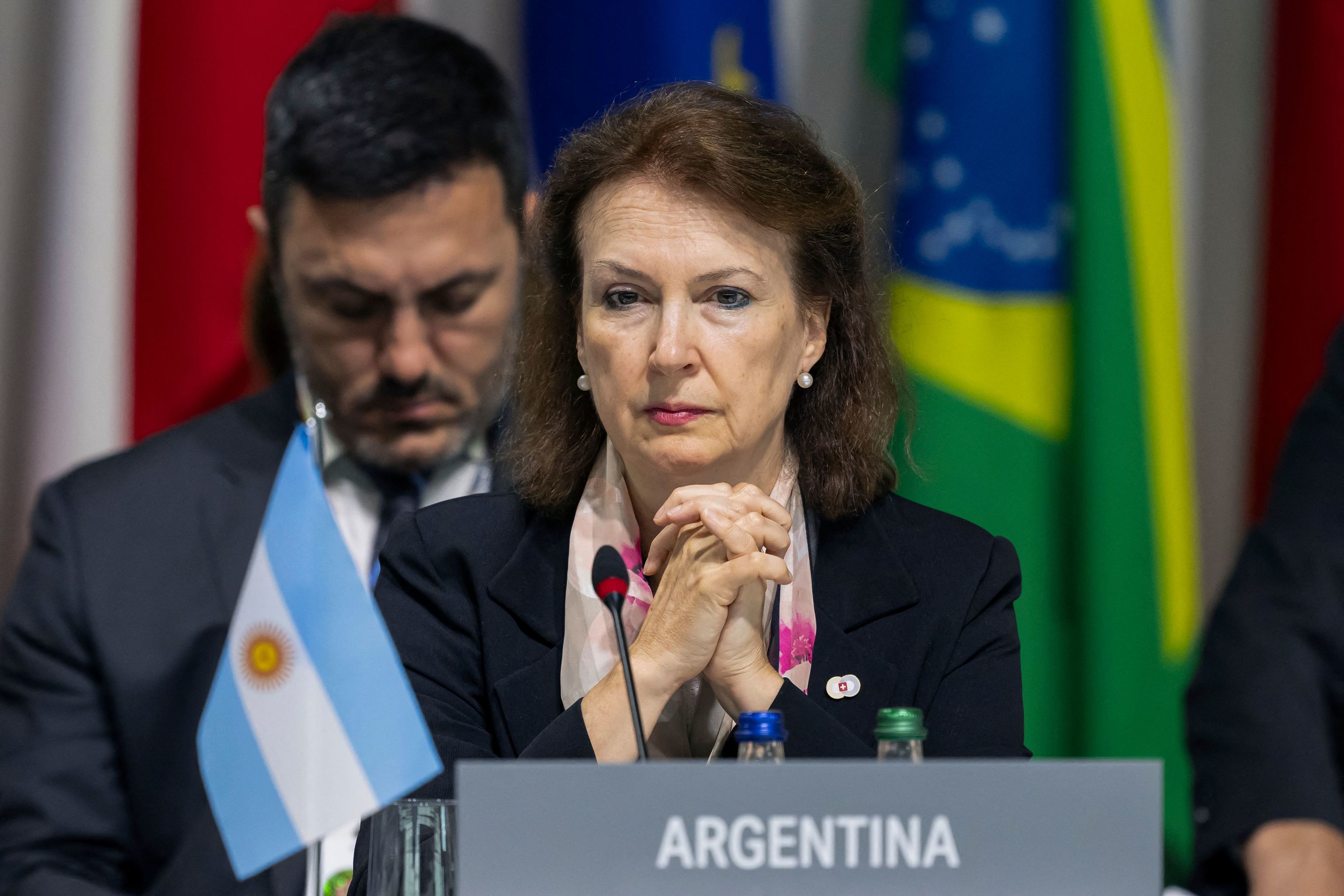 Milei echa a su ministra de Exteriores por votar a favor del final del ...