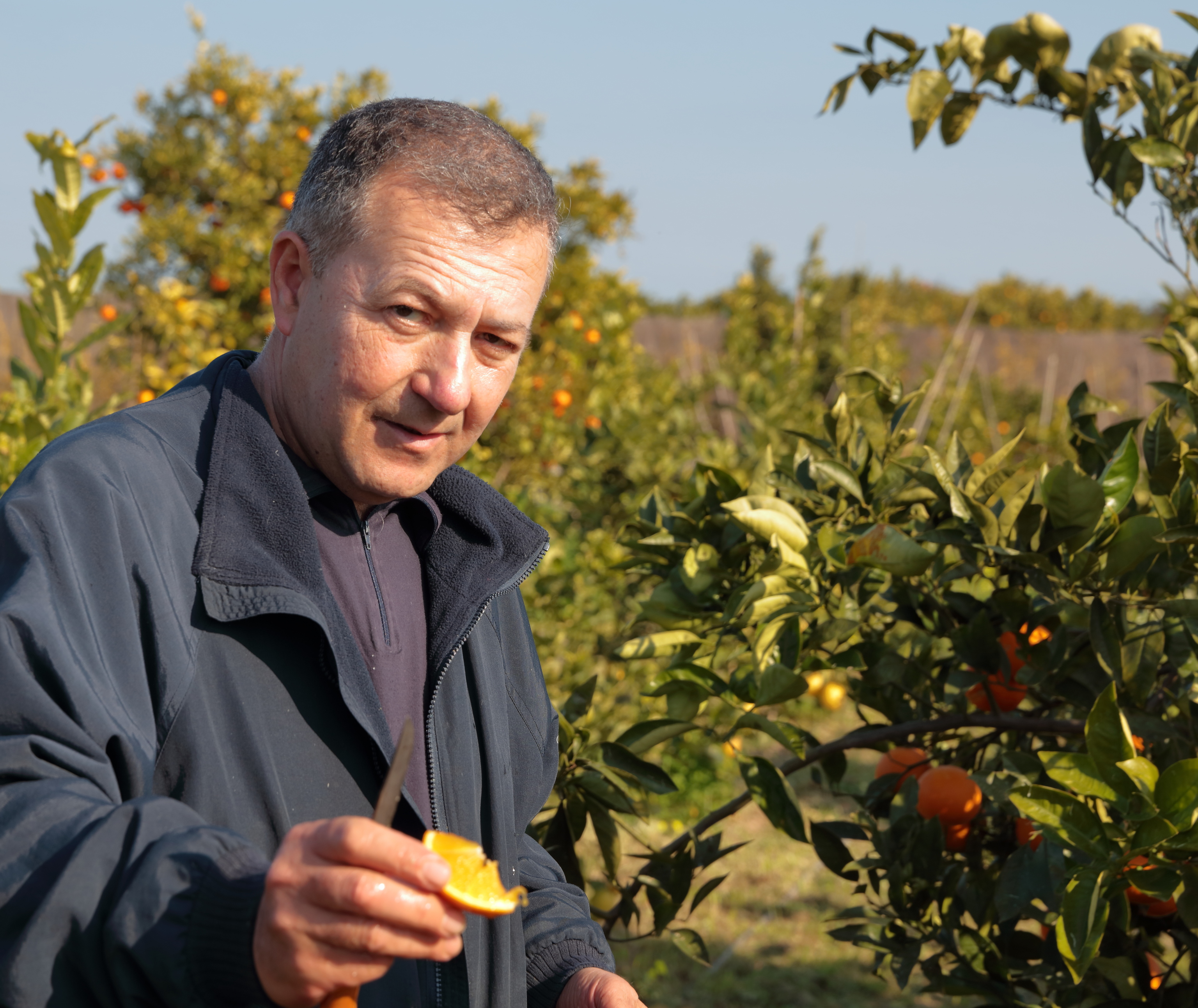 Vicente Todolí en su huerto.