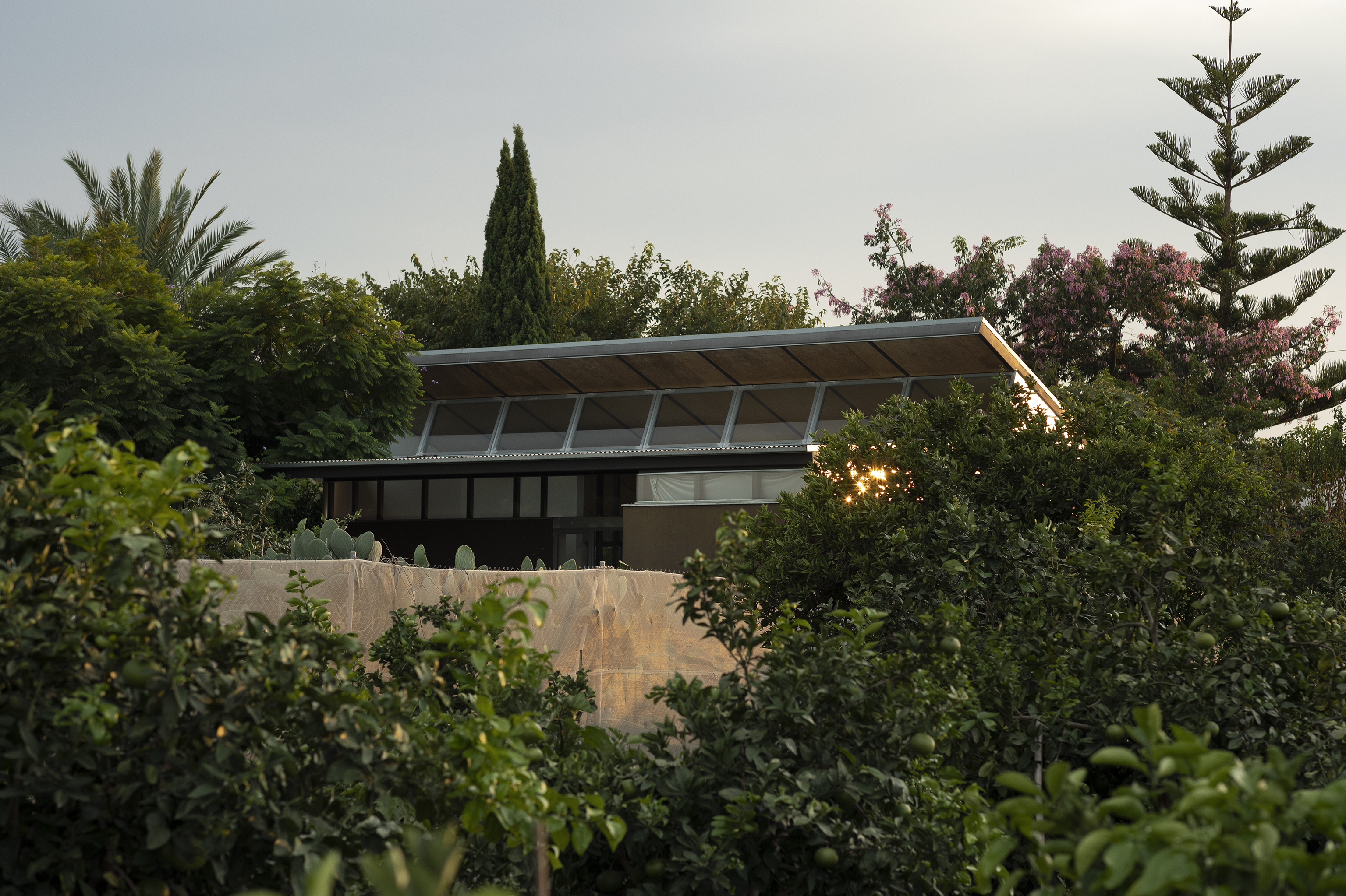 El museo de la Todolí Citrus Fundació, donde el arte convive con la mayor colección de cítricos cultivados al aire libre del mundo.