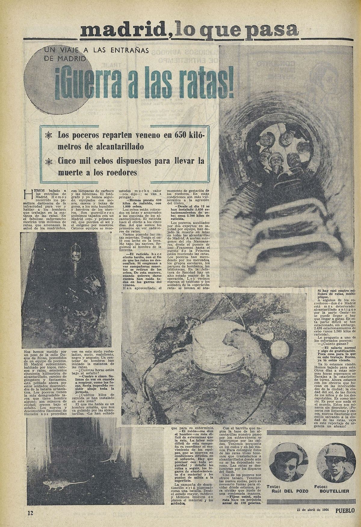 El reportaje '¡¡Guerra a las ratas!' fue publicado en «Pueblo», el 21 de abril de 1966, en la página 12.