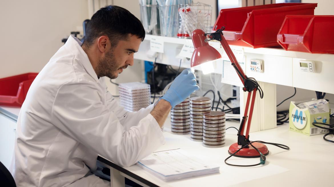 【欧浪】Usera附近再出事！未成年偷窃伤人被捕，治安惹担忧！