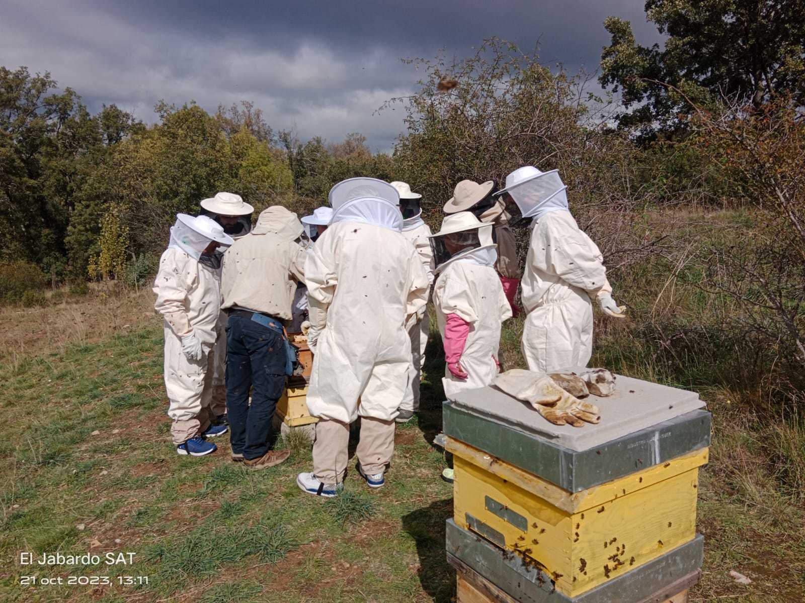 Un grupo de apicultores por un d�a, en plena naturaleza.