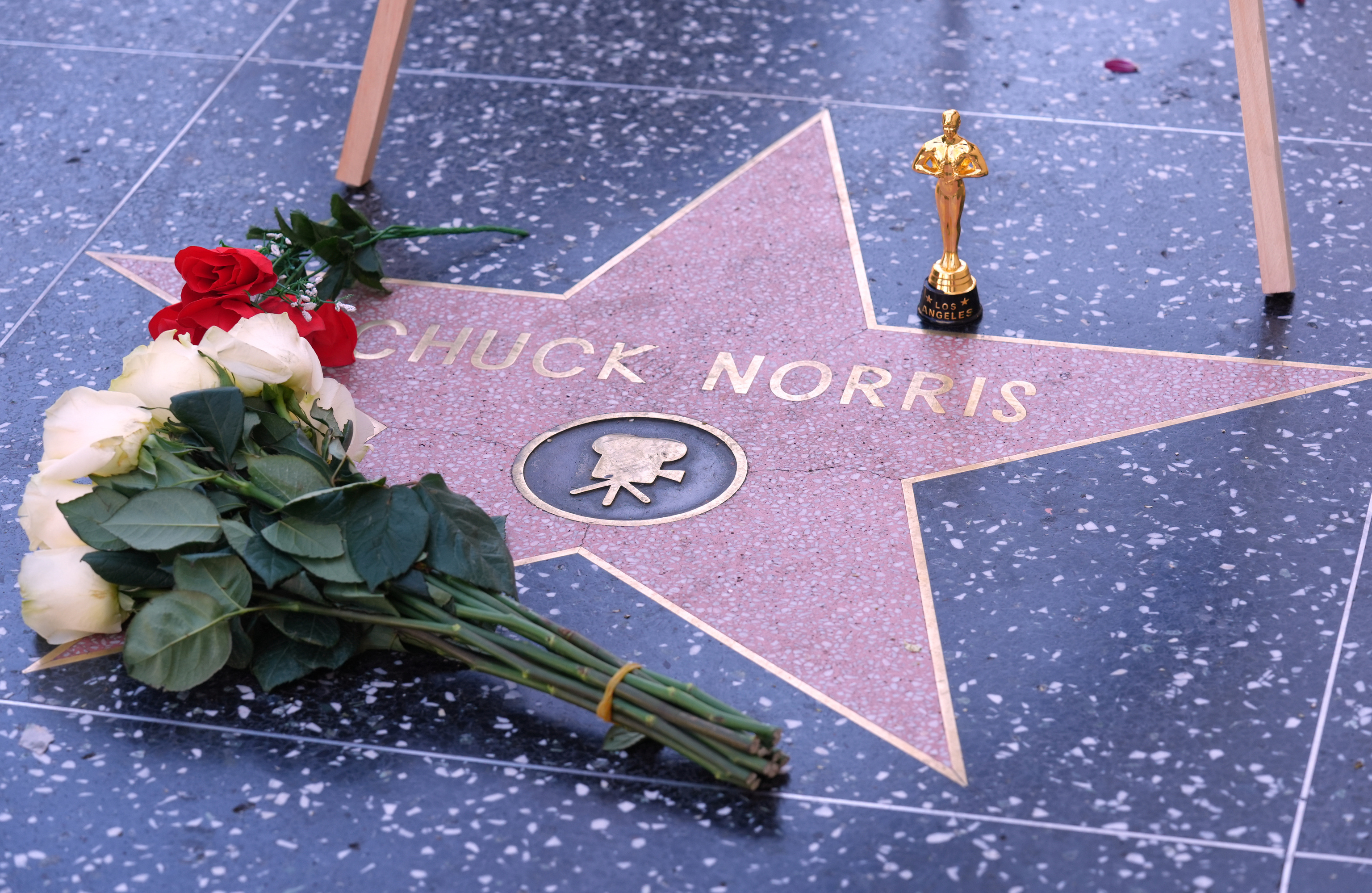 La semana del Dios Tuitero: Chuck Norris asistió a su propio funeral