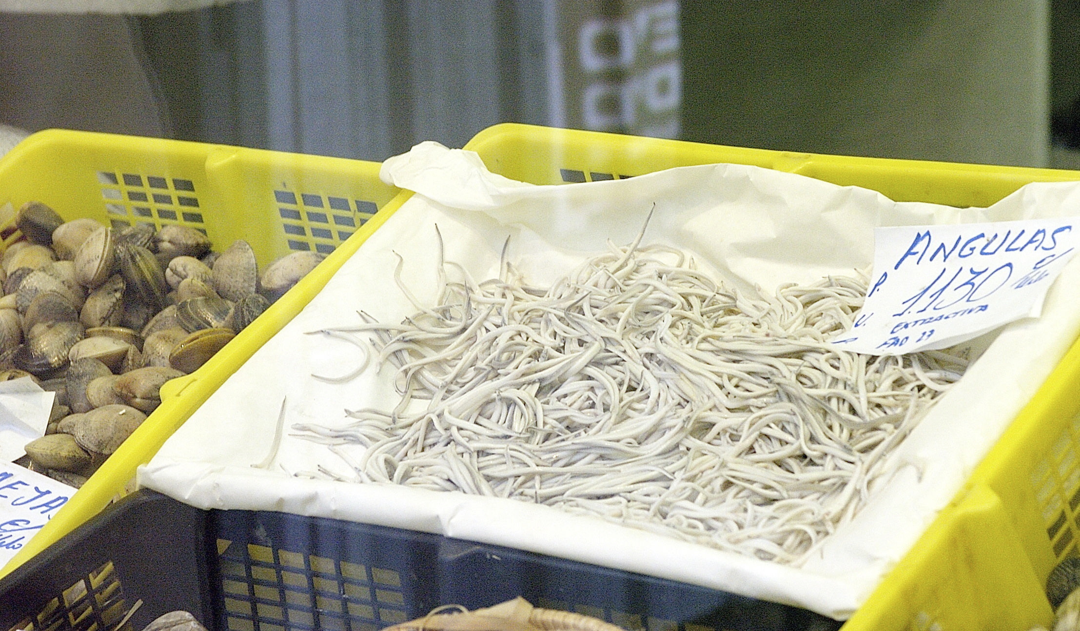 Imagen de una caja de angulas en un mercado de Bilbao.