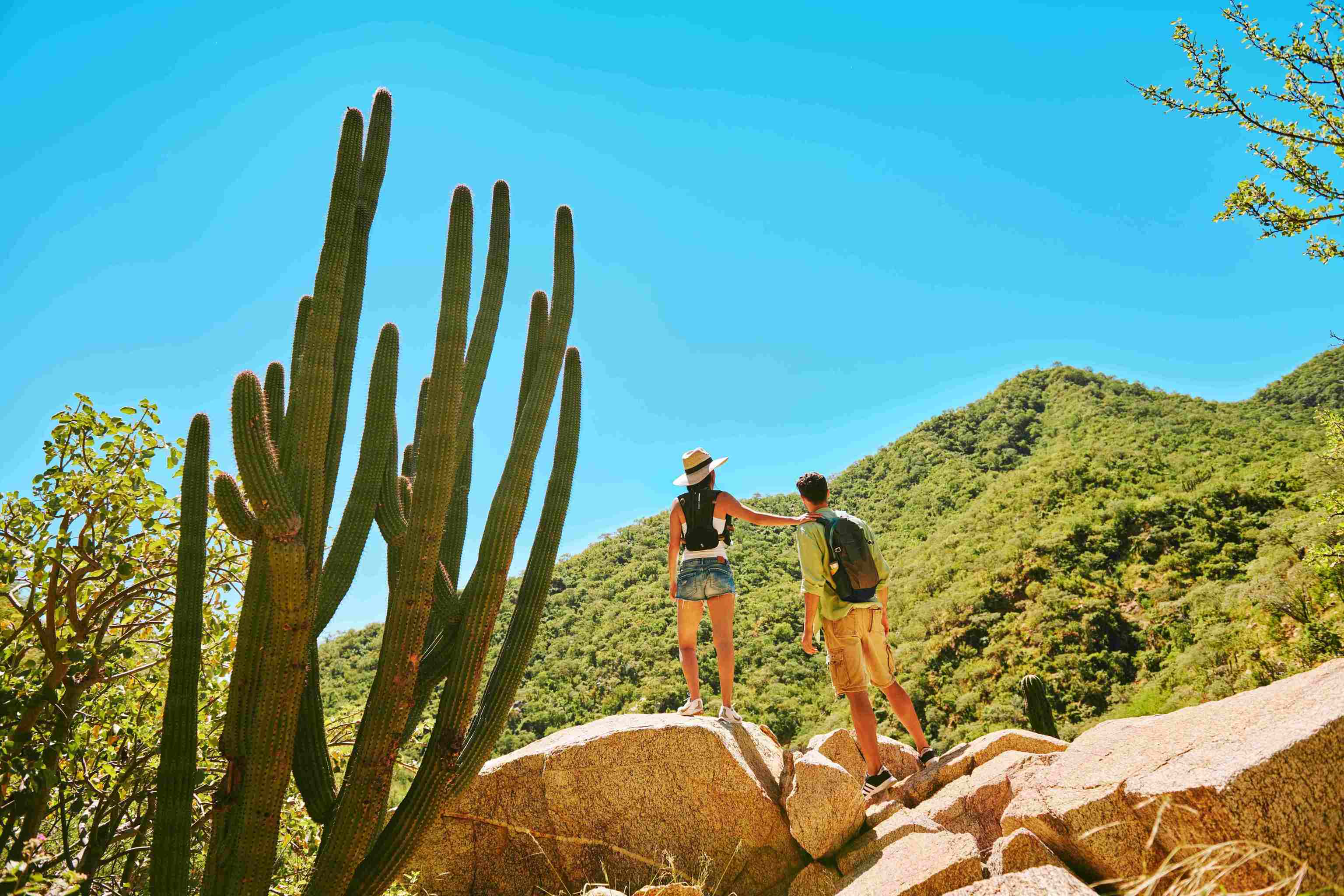 Senderismo en Sierra de La Laguna.