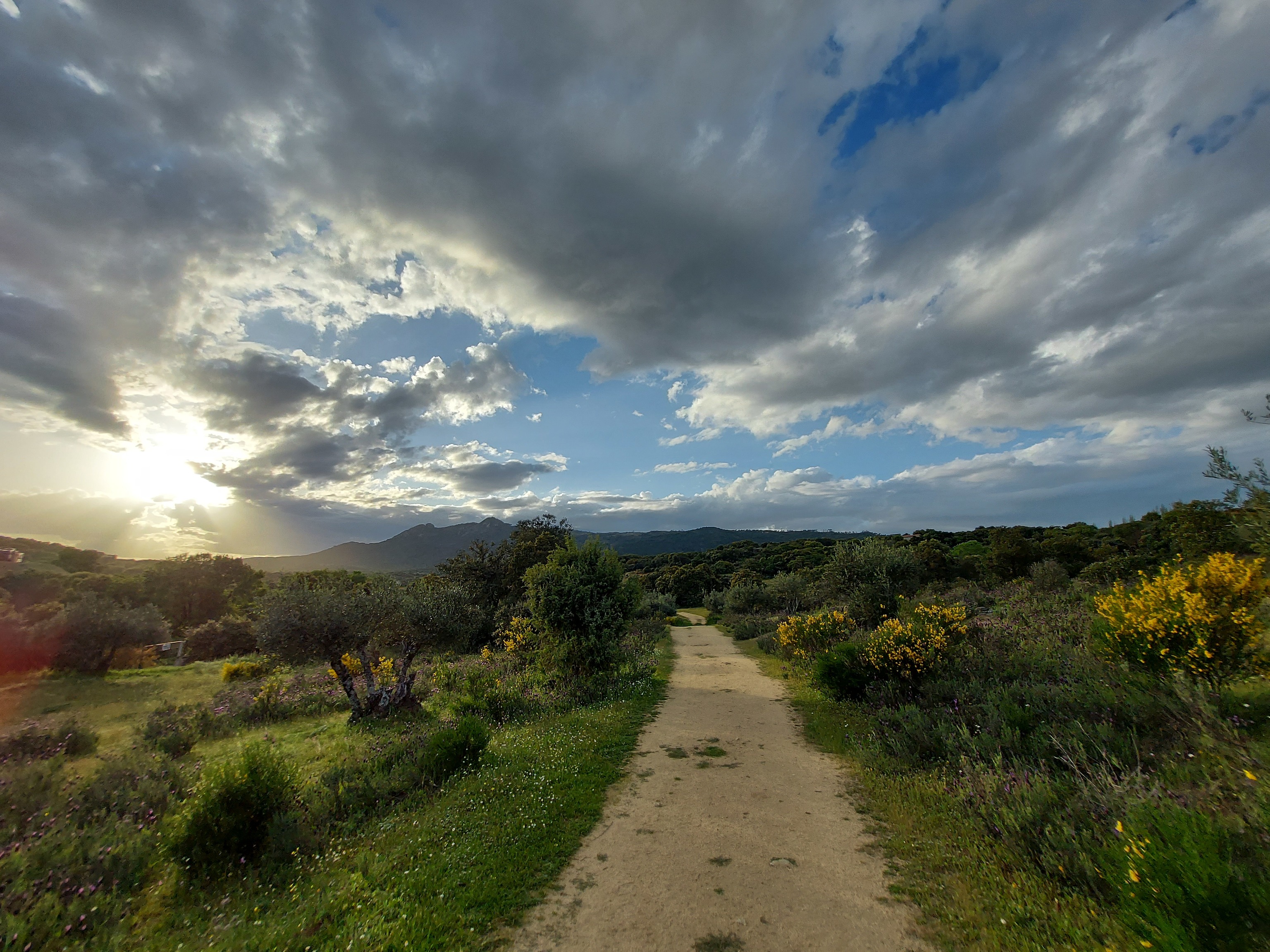Camino del paraje de las Hoyas.