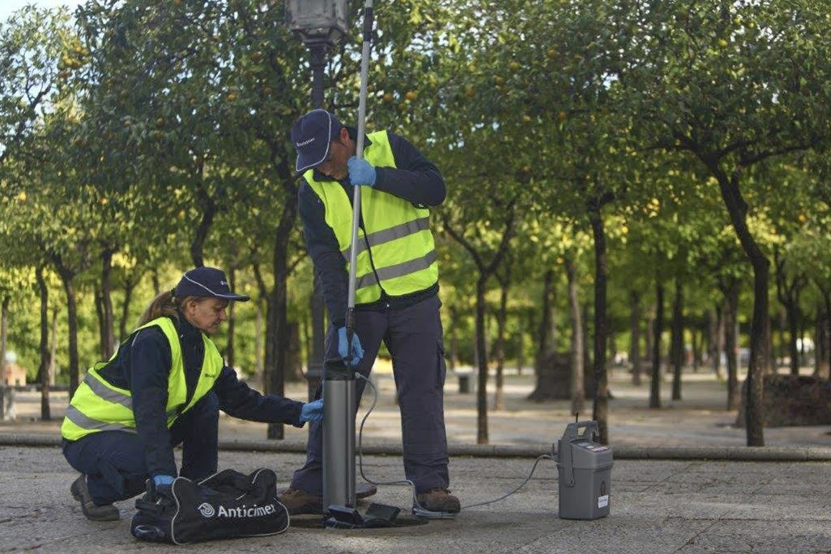 La patronal ANECPLA ha alertado de un repunte de ratas en ciudades como Madrid, Barcelona, Valencia, Málaga, Alicante, Gijón, Zaragoza o Mazarrón.