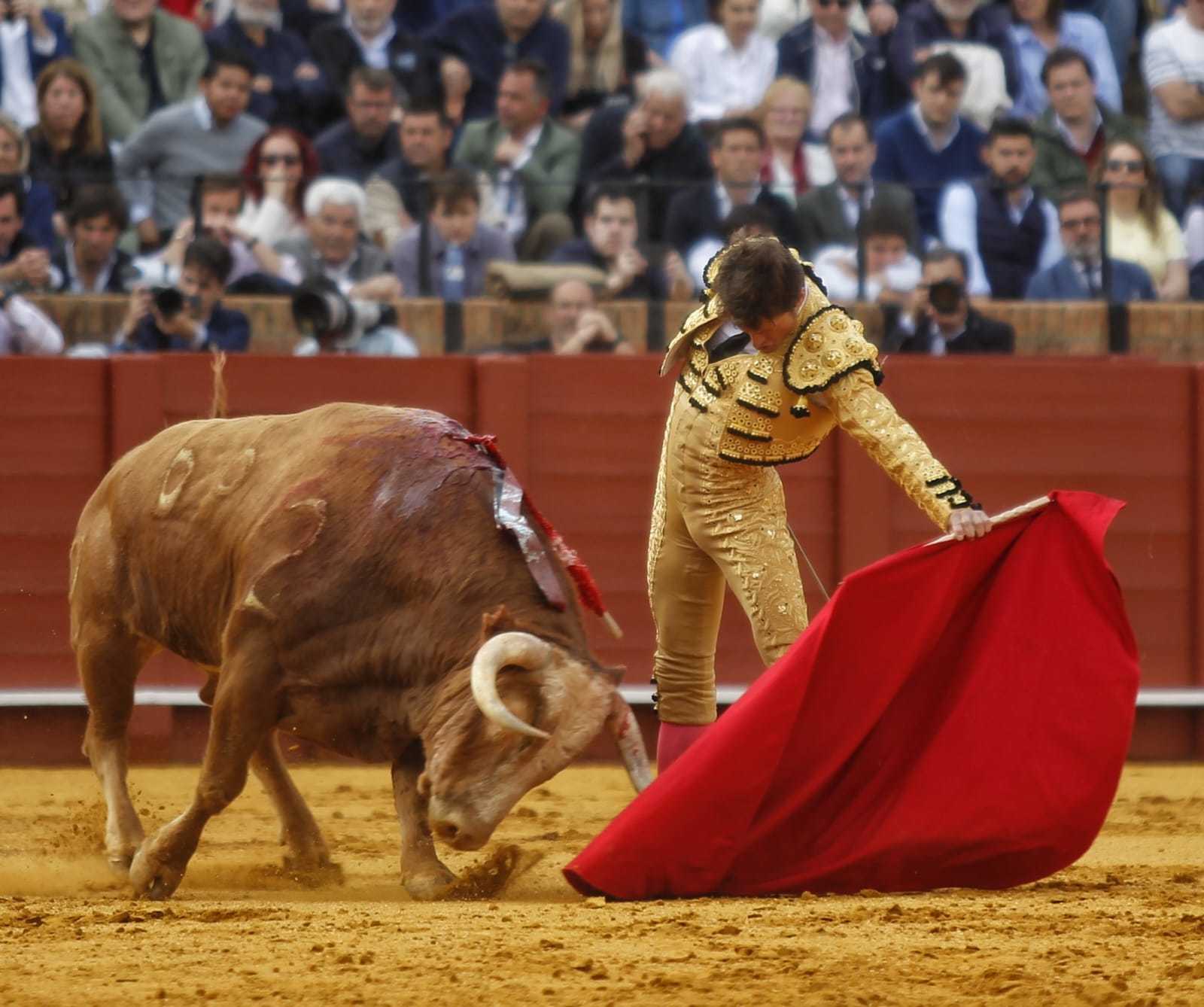 Aventado'nun lüksü ve Fabio Jimnez'in Sevilla'da şans eseri boğa güreşi