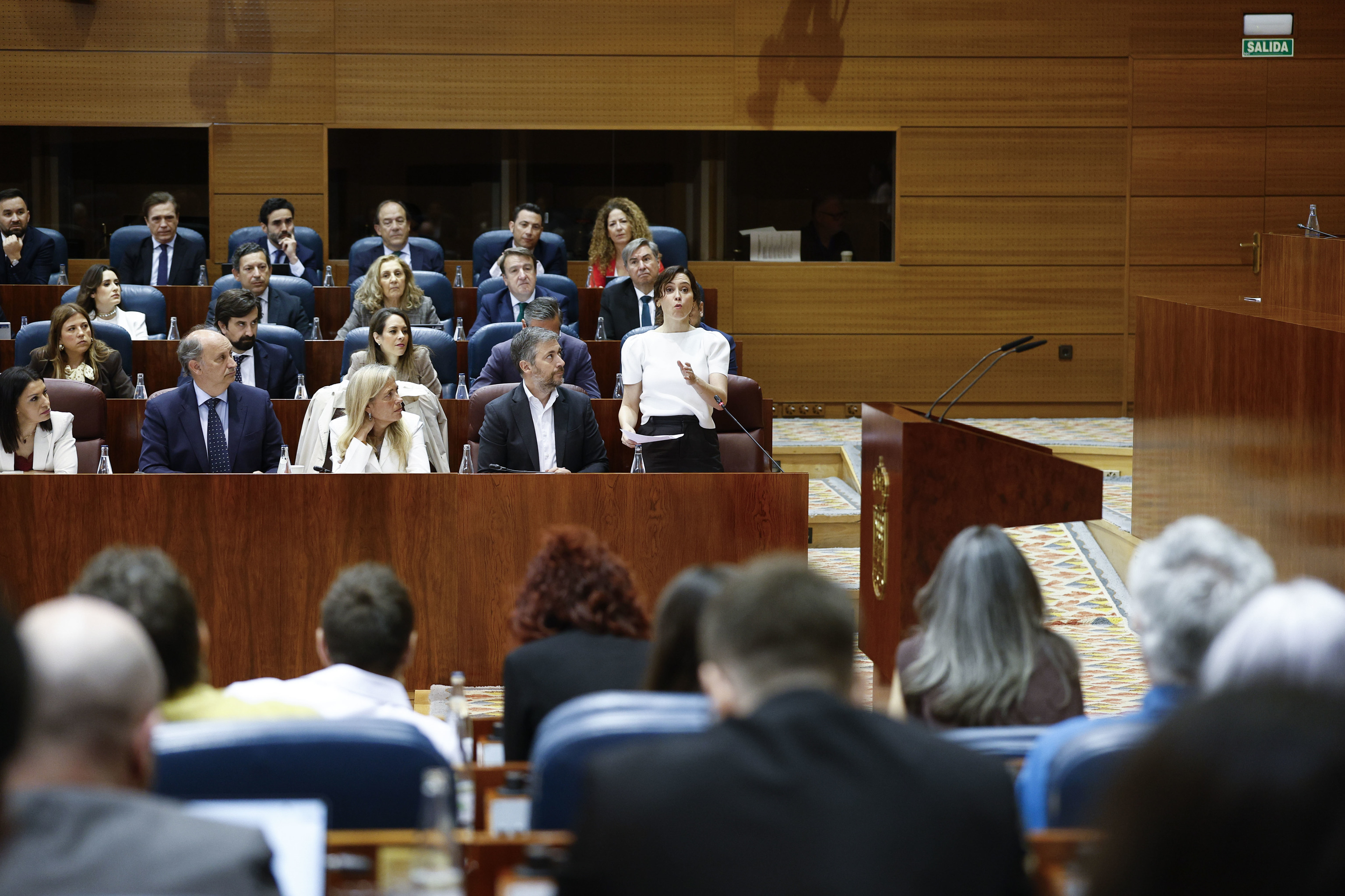 Ayuso, ante la bancada de Más Madrid en el último pleno de la Asamblea.