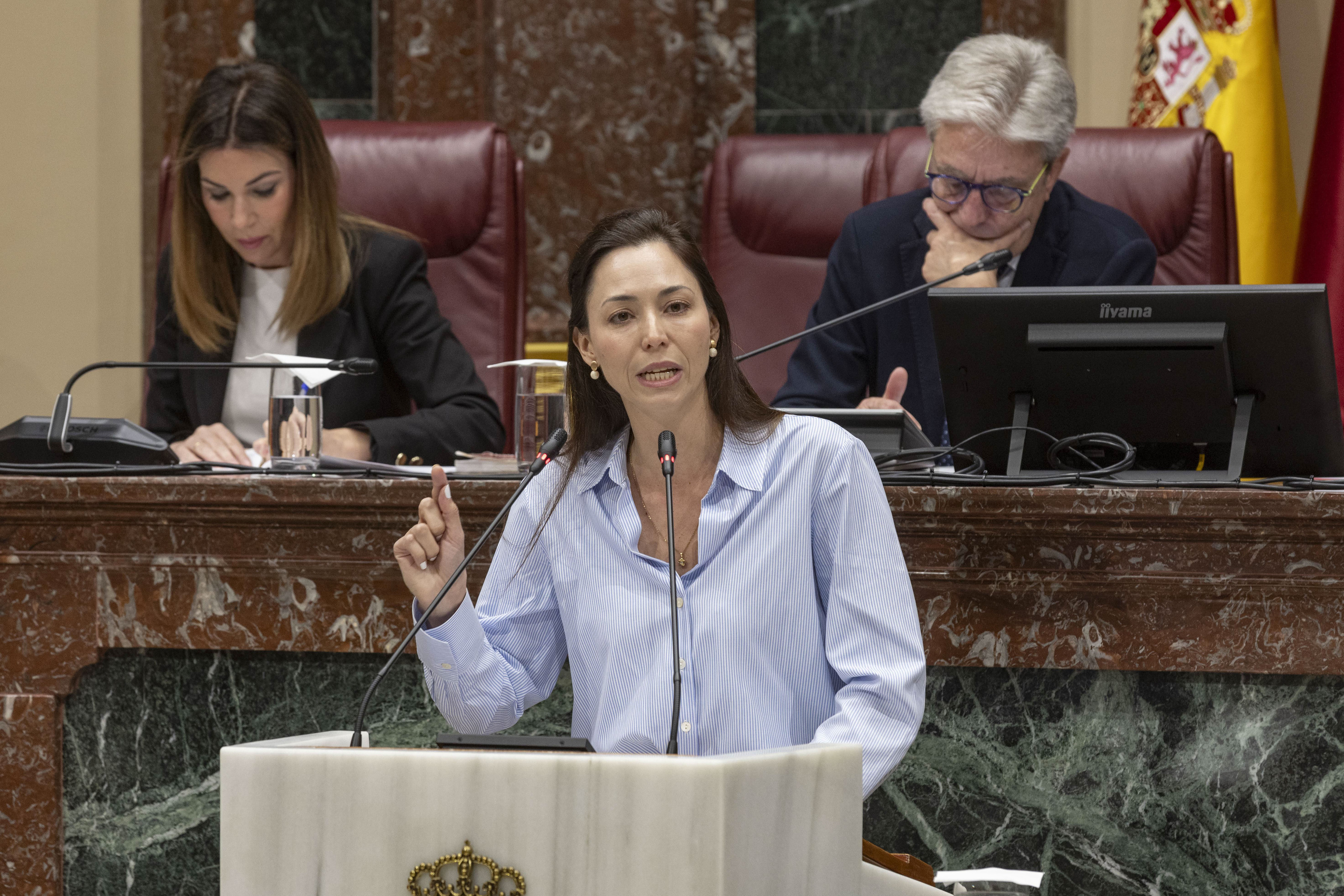 La diputada Virginia Martínez, durante una intervención en el pleno de la Asamblea Regional de Murcia
