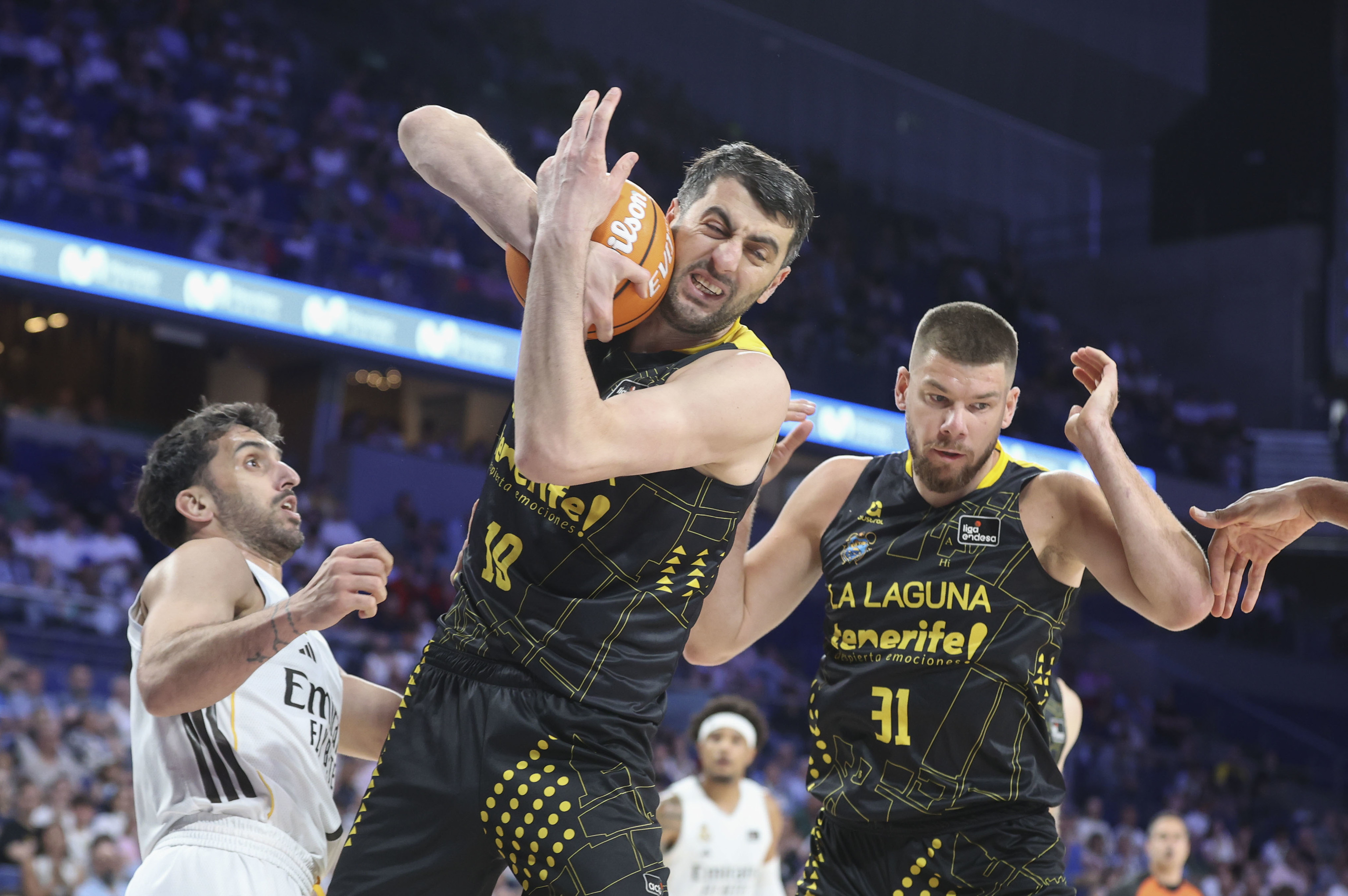 Shermadini atrapa un rebote ante el Madrid.