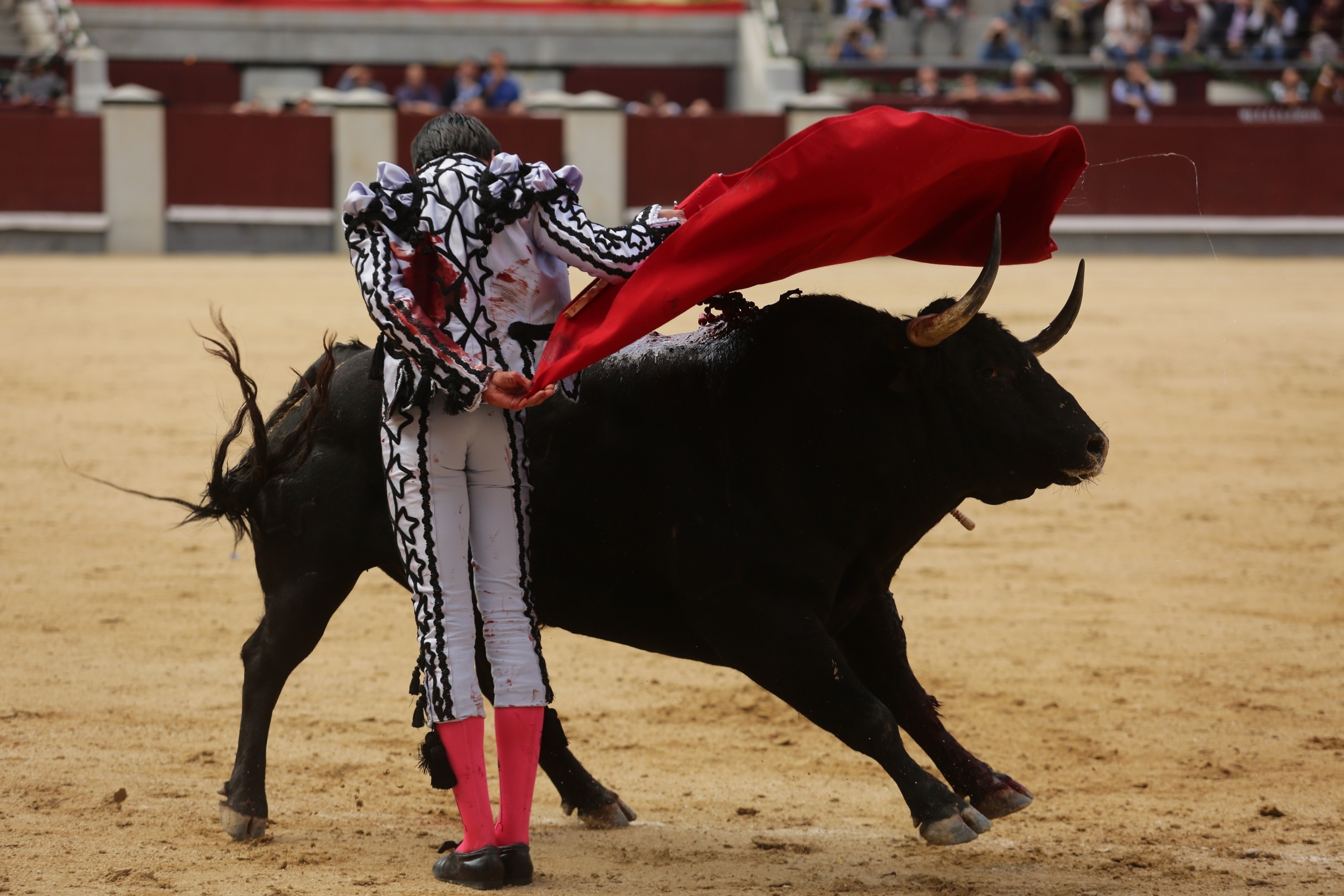 Uceda Leal, El Cid y Javier Cortés lidian la corrida goyesca del 2 de mayo en Las Ventas — image 5