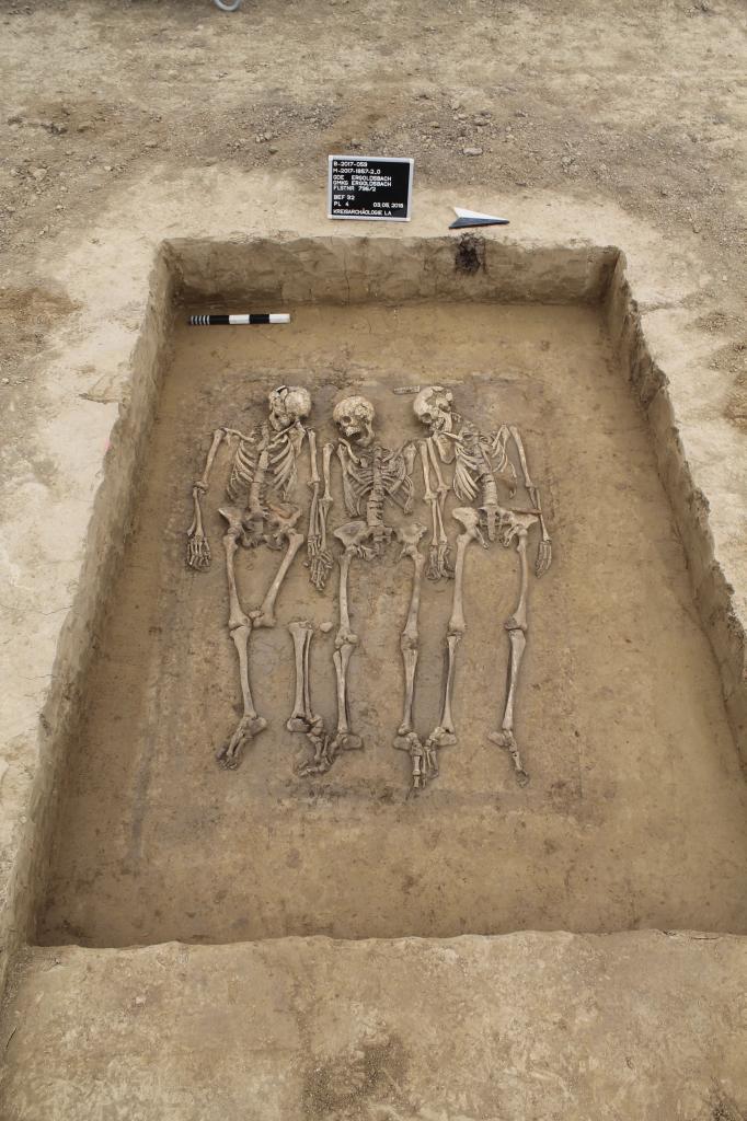 Alguno de los restos humanos analizados.
