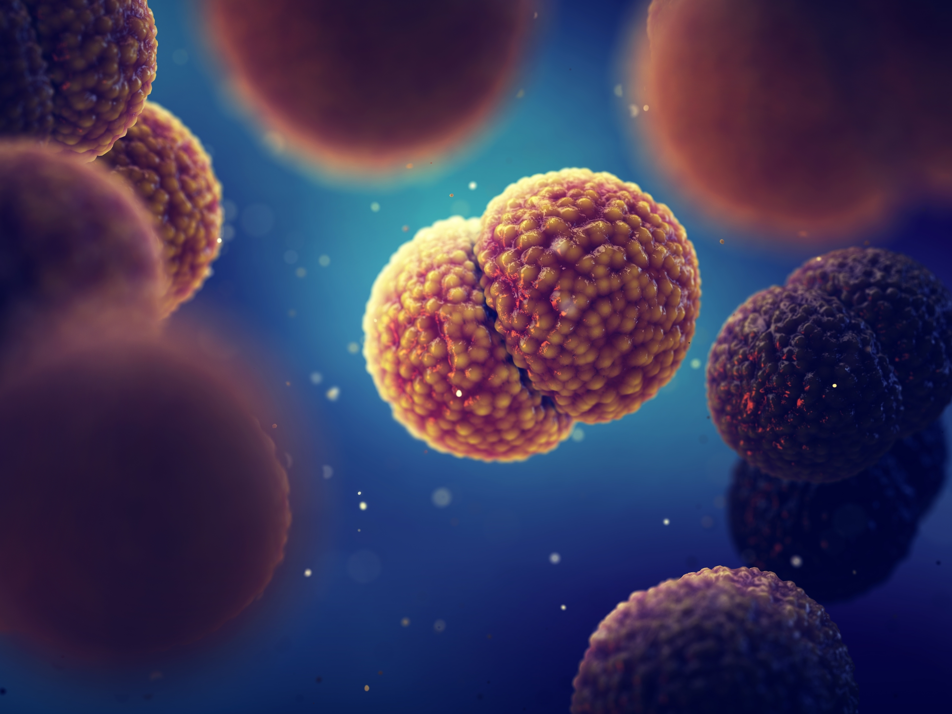 Bacterias de meningitis.