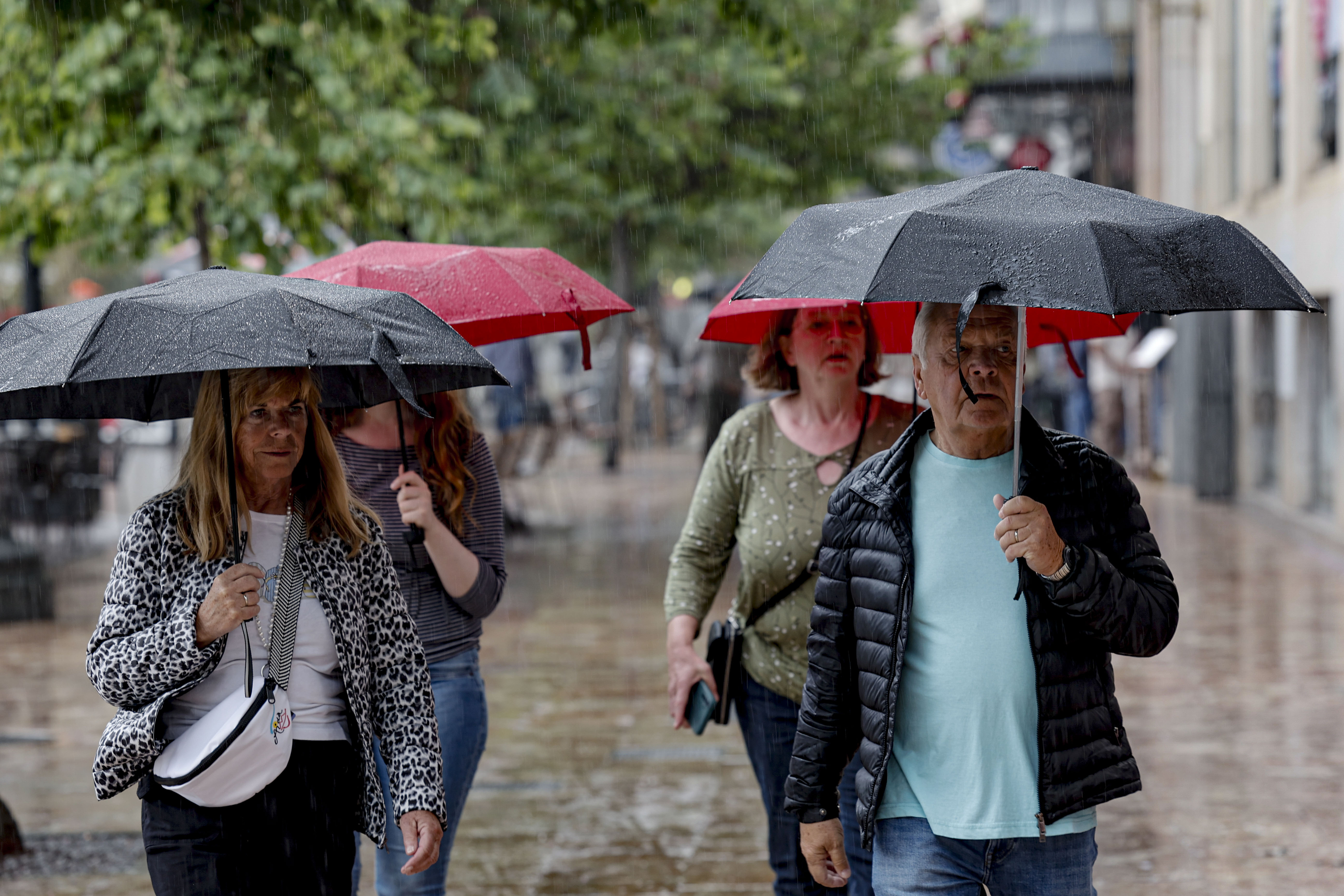 Varios paseantes protegi�ndose de la lluvia ayer en Valencia