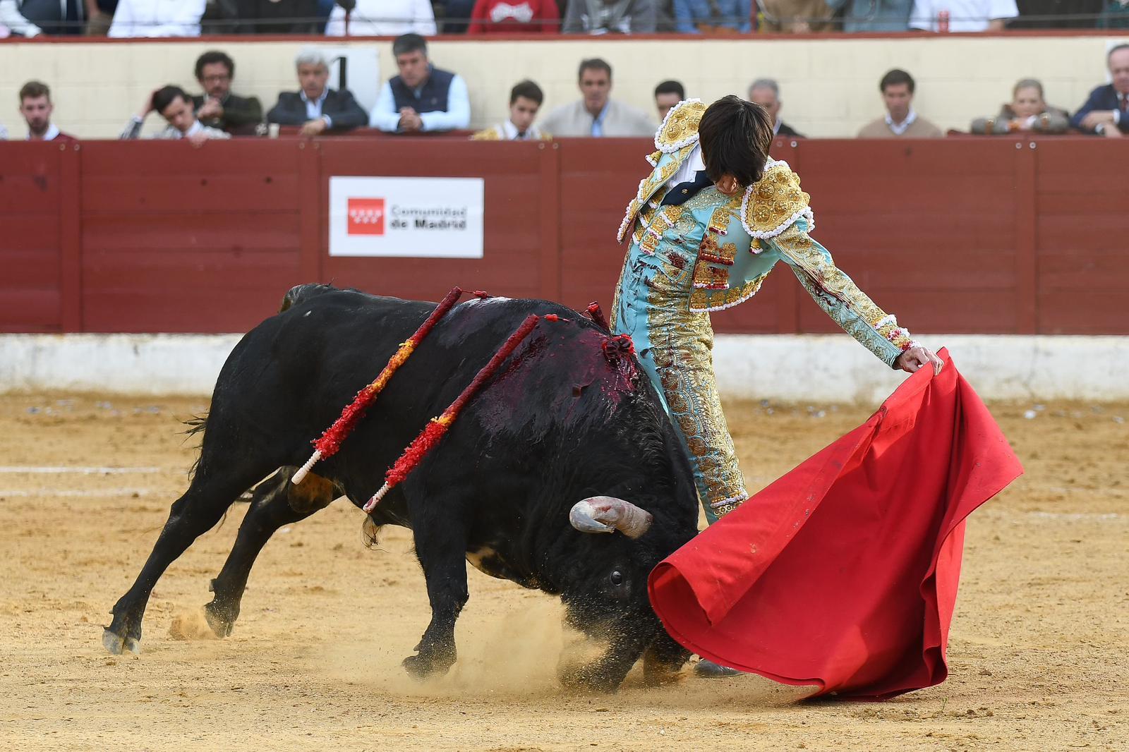 El torero Alberto Durán, en la UCI tras una cornada en el escroto que requirió un bypass vascular — image 5