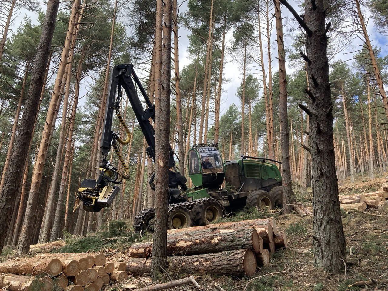 Una procesadora forestal, conocida como 'harvester', en Gascones.