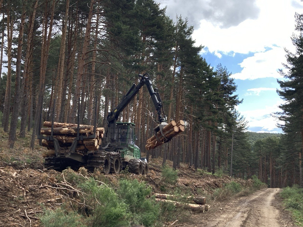 Una m�quina descarga troncos junto a una v�a forestal en Gascones.