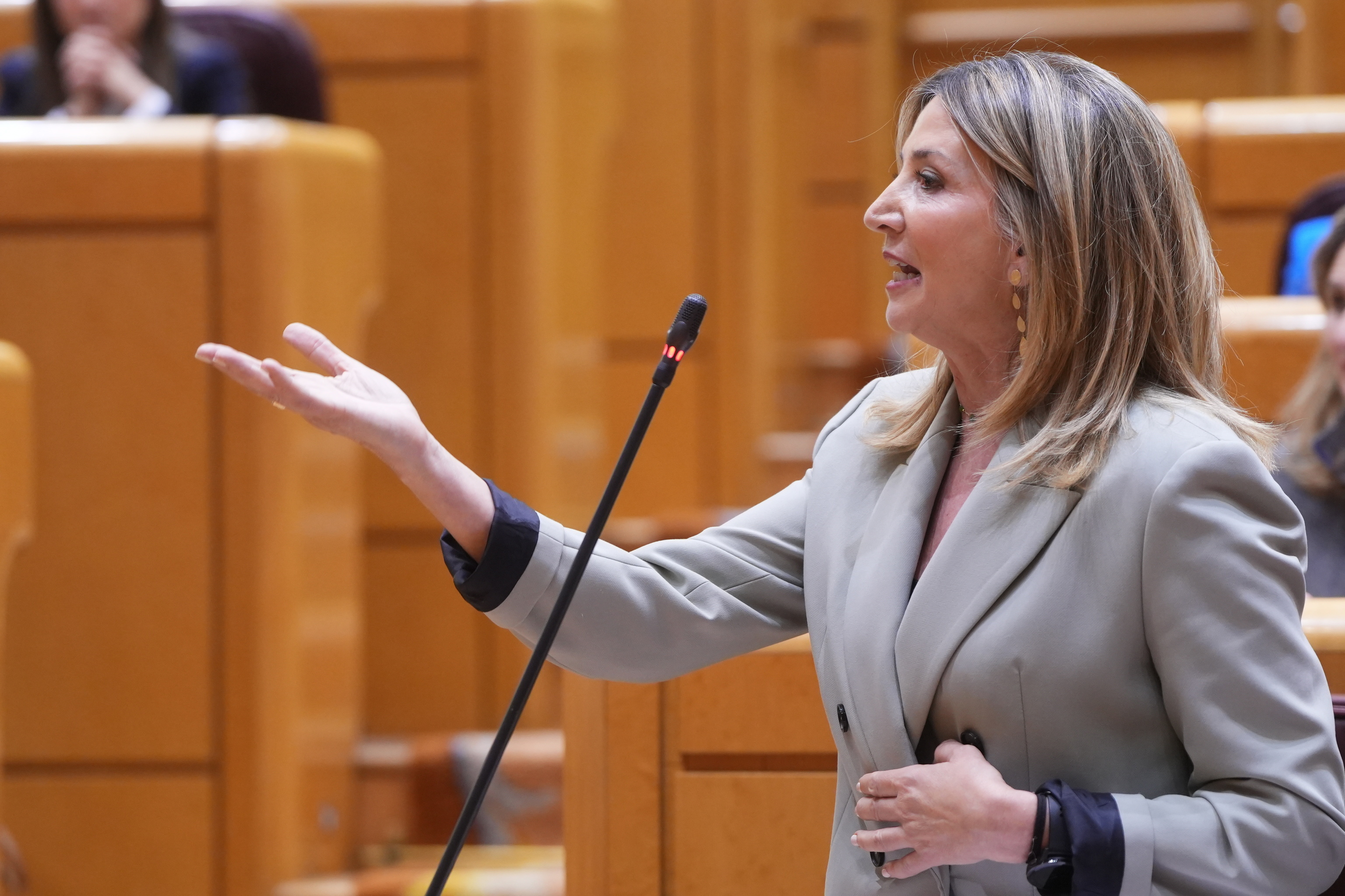 La portavoz del PP en el Senado, Alicia Garc�a.