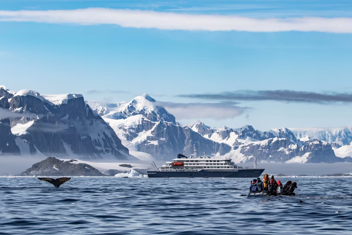 Viajes "inolvidables" a la Antártida por 30.000 euros, suites de lujo,  buceo polar, kayak entre pingüinos...: así era la experiencia a bordo del  MV Hondius | El Baúl