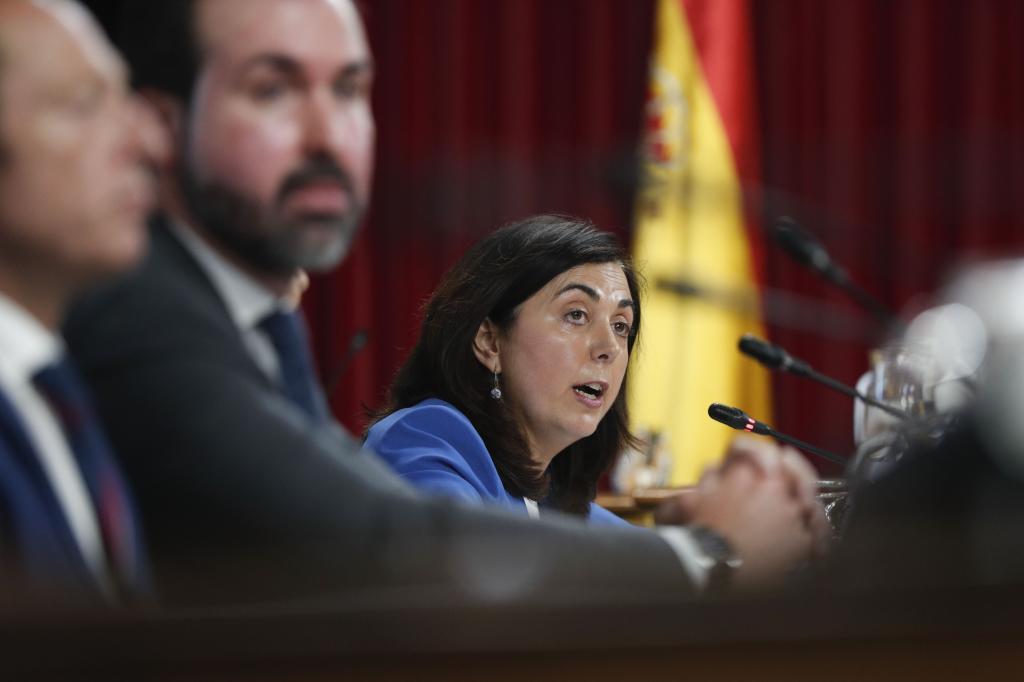 La l�der del PP en Lugo, Elena Candia, este jueves, durante la votaci�n de la moci�n de censura en el Ayuntamiento.