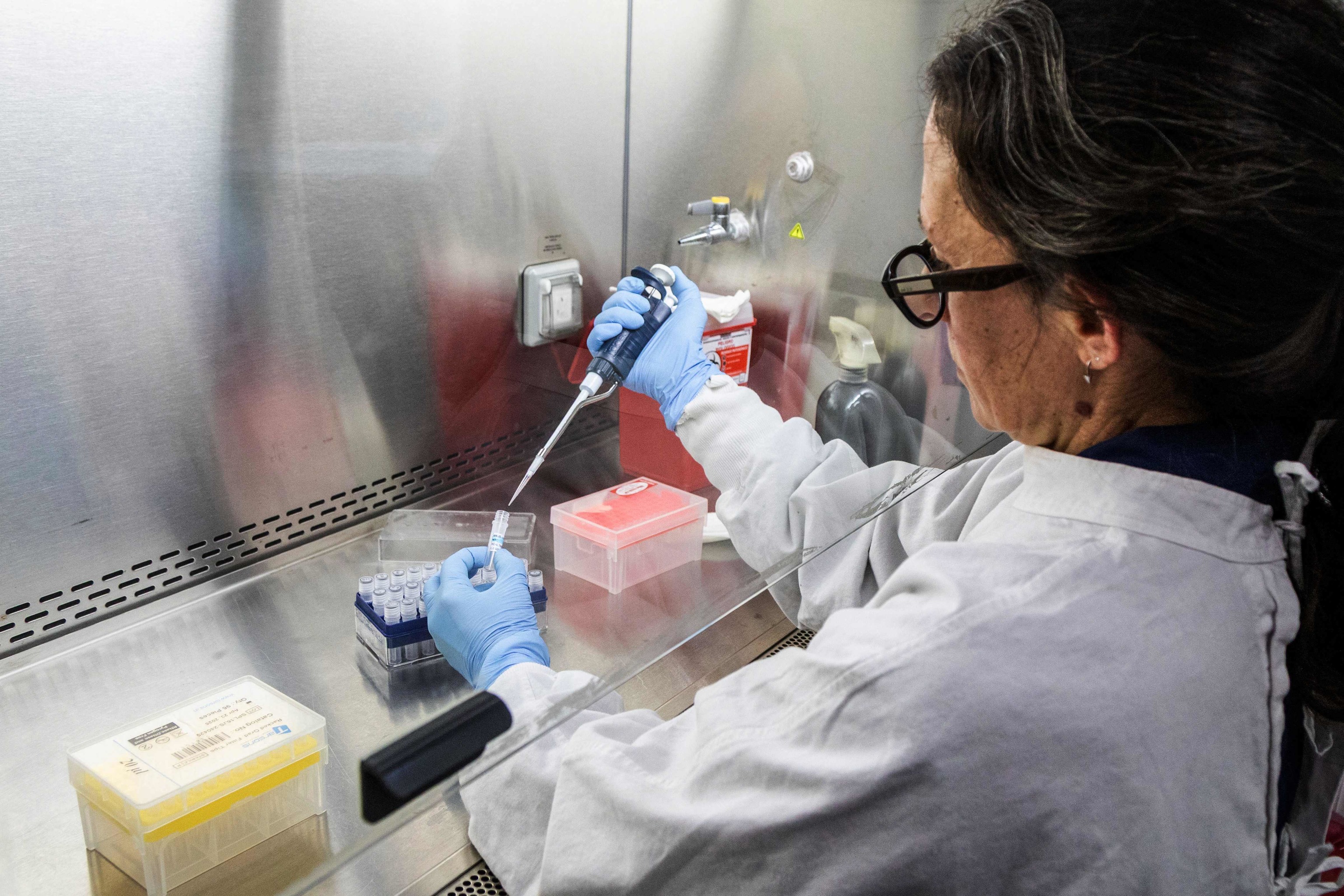 Una cient�fica del Instituto Malbr�n en Buenos Aires manipula contenedores utilizados para diagnosticar el hantavirus Andes.