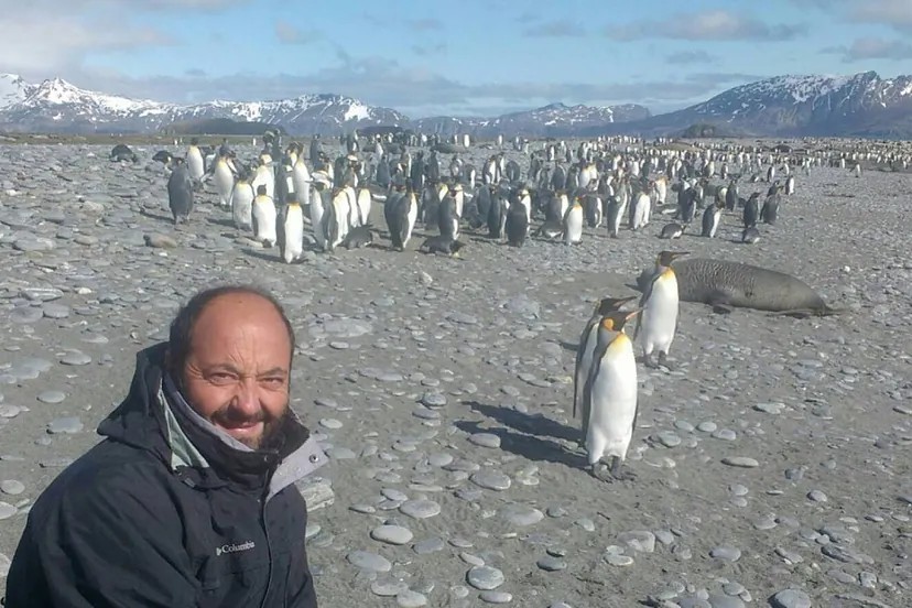 El ornitólogo Ricardo Hevia, rodeado de pingüinos.