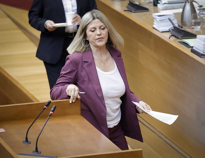 La consellera de Educaci�n, Carmen Ort�, en las Cortes.