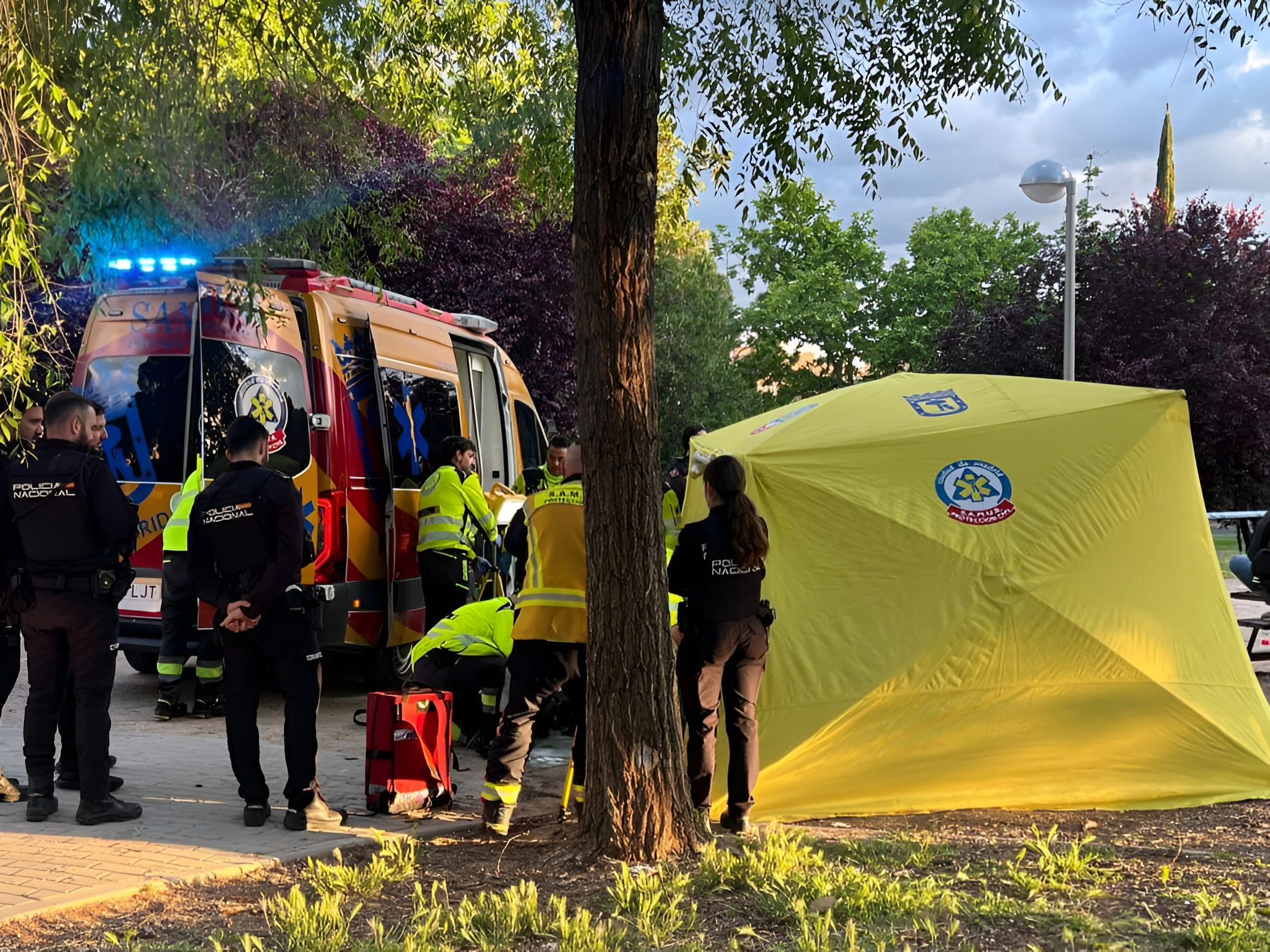 El parque Para�so, en el distrito de SanBlas, donde tuvo lugar el homicidio.