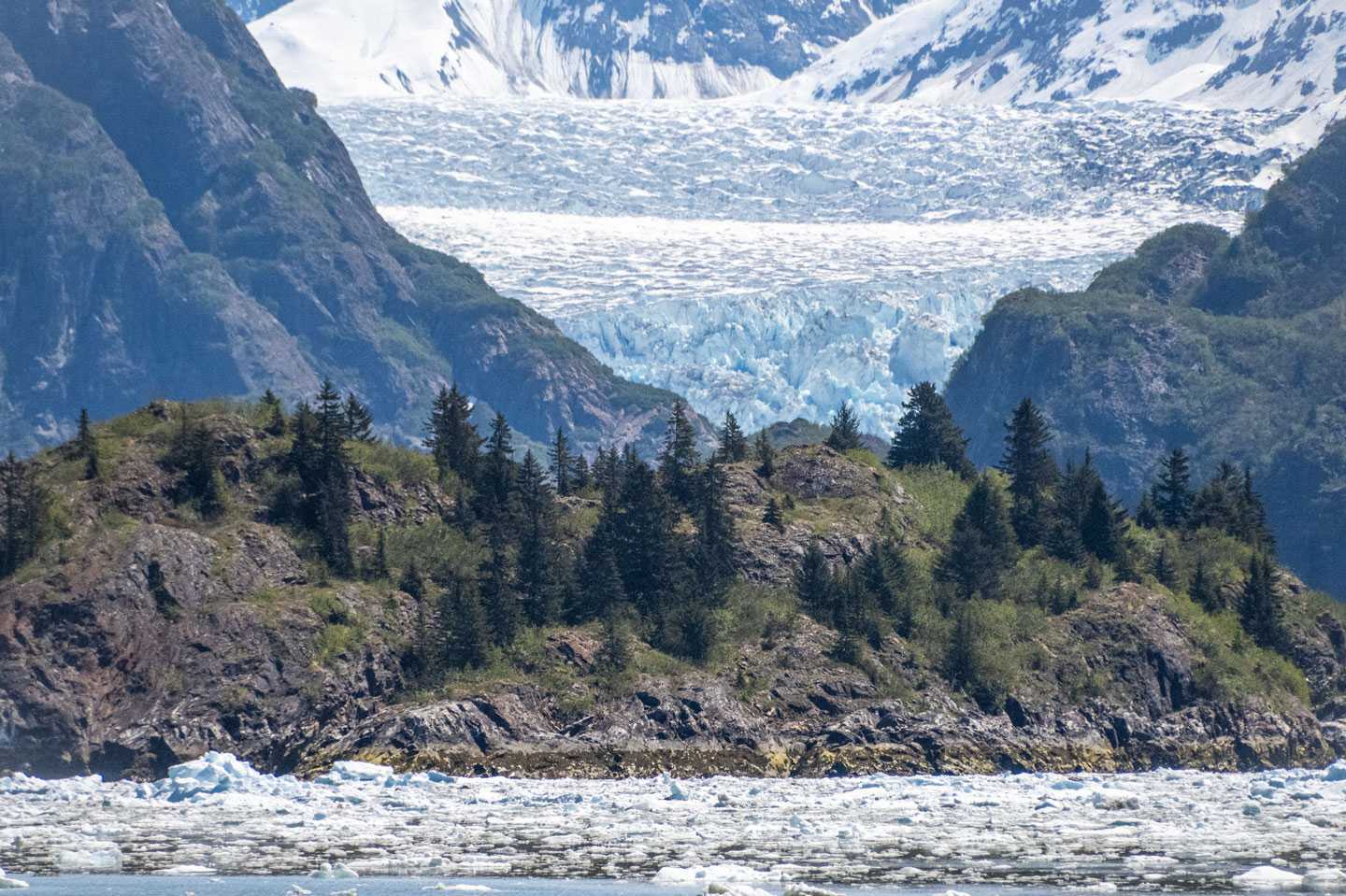 Fotografía de la isla Sawyer antes del tsunami (en 2022), con árboles y arbustos que fueron arrancados por la gigantesca ola de 2025. El glaciar South Sawyer aparece al fondo.