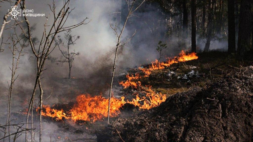 Incendio forestal en zona radioactiva en Chern�bil.