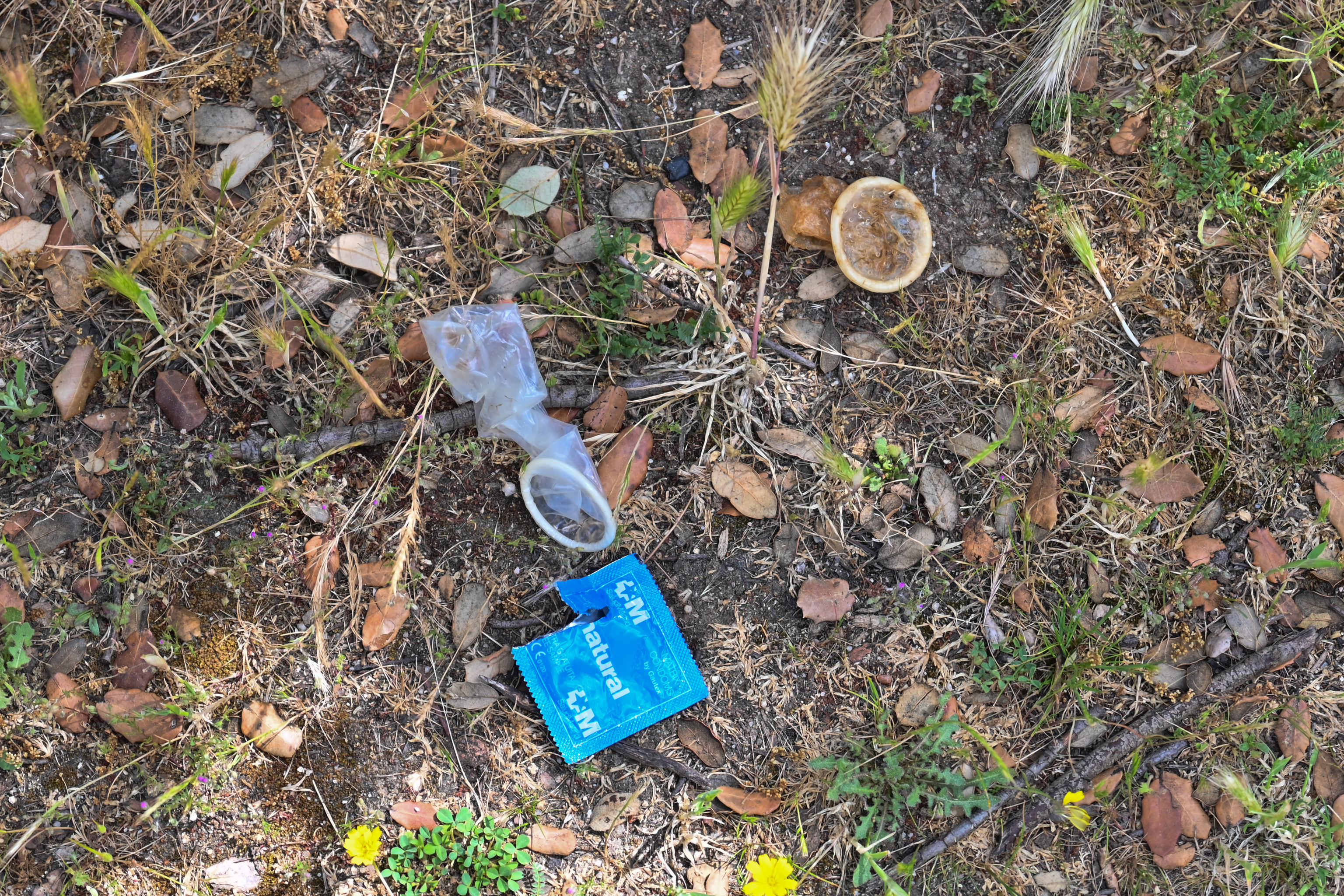 La basura que se acumula entre las zonas arboladas del parque