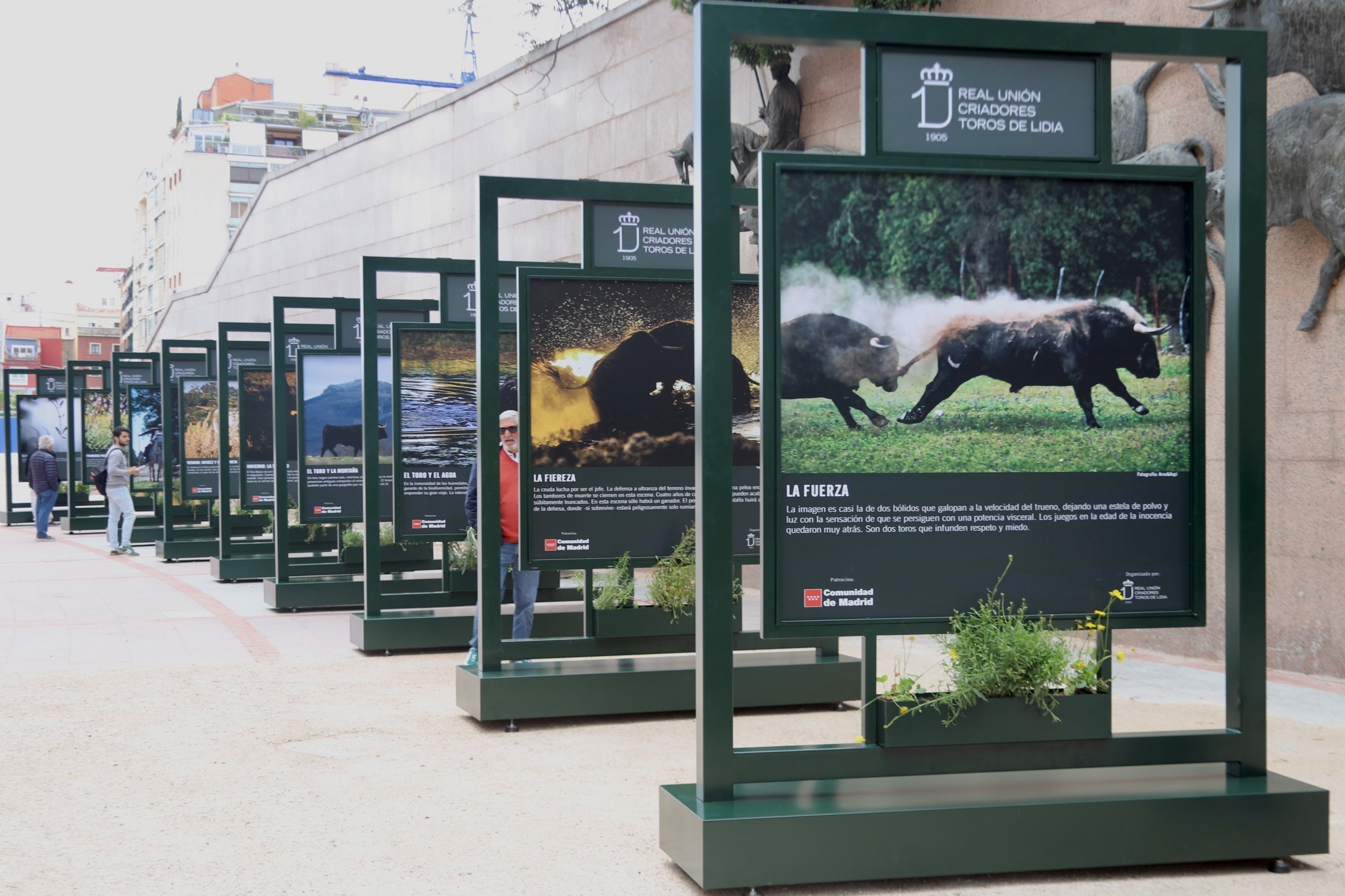 Parte de los paneles de la exposici�n en el exterior de Las Ventas.