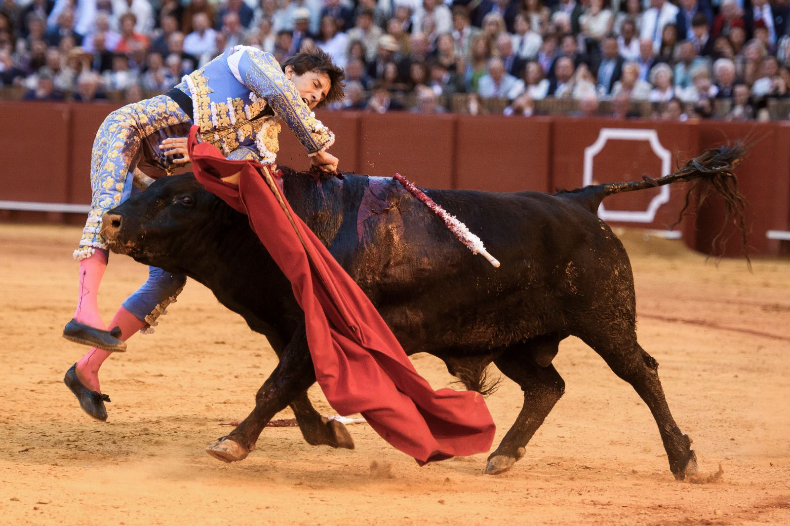 El toro cornea a Roca Rey en La Maestranza, la pasada Feria de Abril