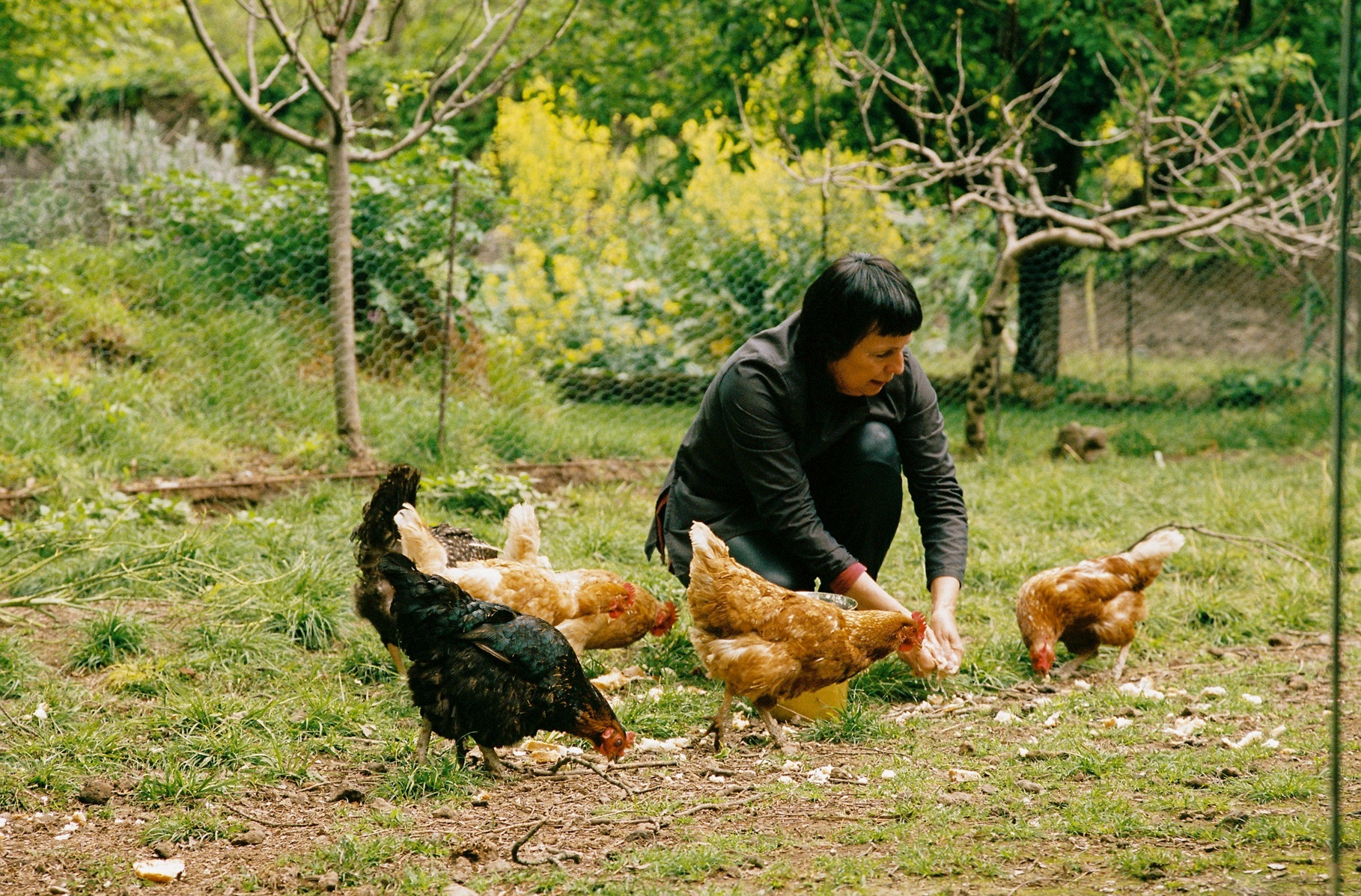 Fina Puigdevall con las gallinas, animales que desde el primer día les acompañan en Les Cols, con gallineros en el restaurante y en Casa Horizonte.