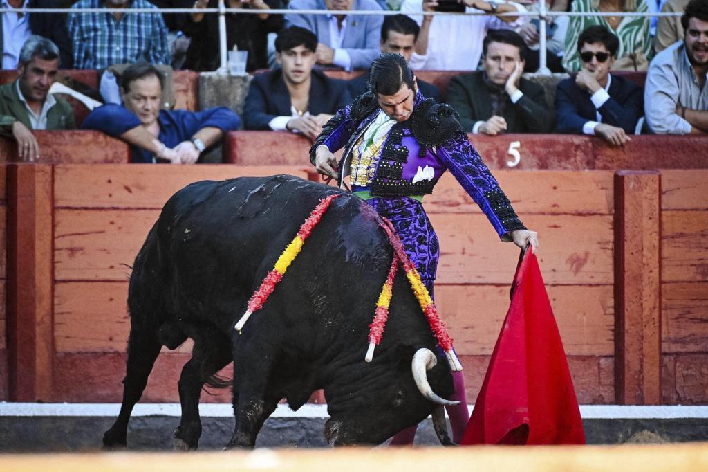 Morante, el gran reclamo para afianzar la Corrida Extraordinaria de San Juan de Sahag�n en Salamanca