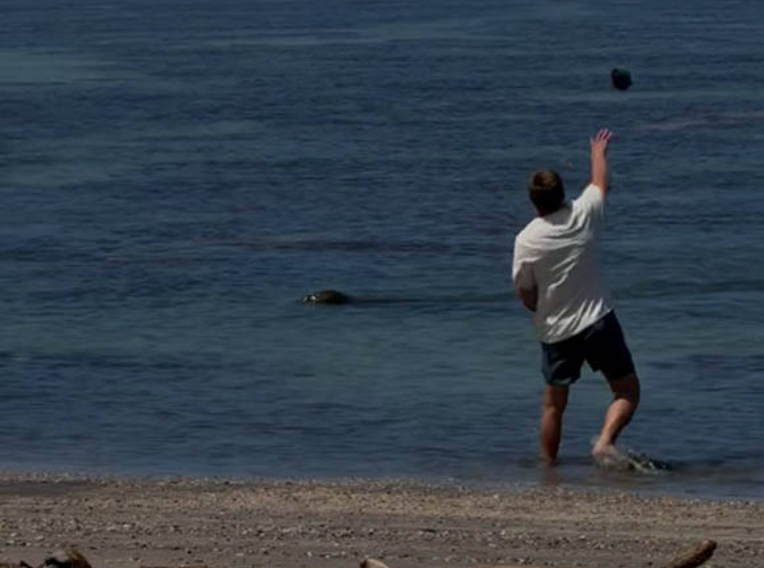 El momento, grabado por un testigo, en el que el acusado arroja la piedra