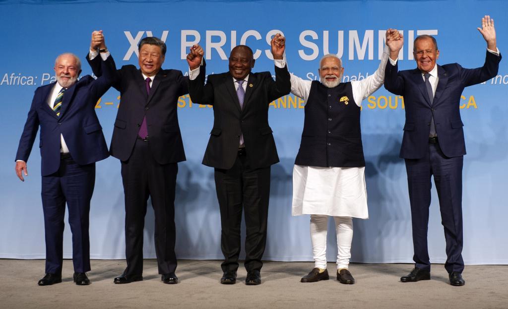 Los representantes de los pa�ses en el BRICS