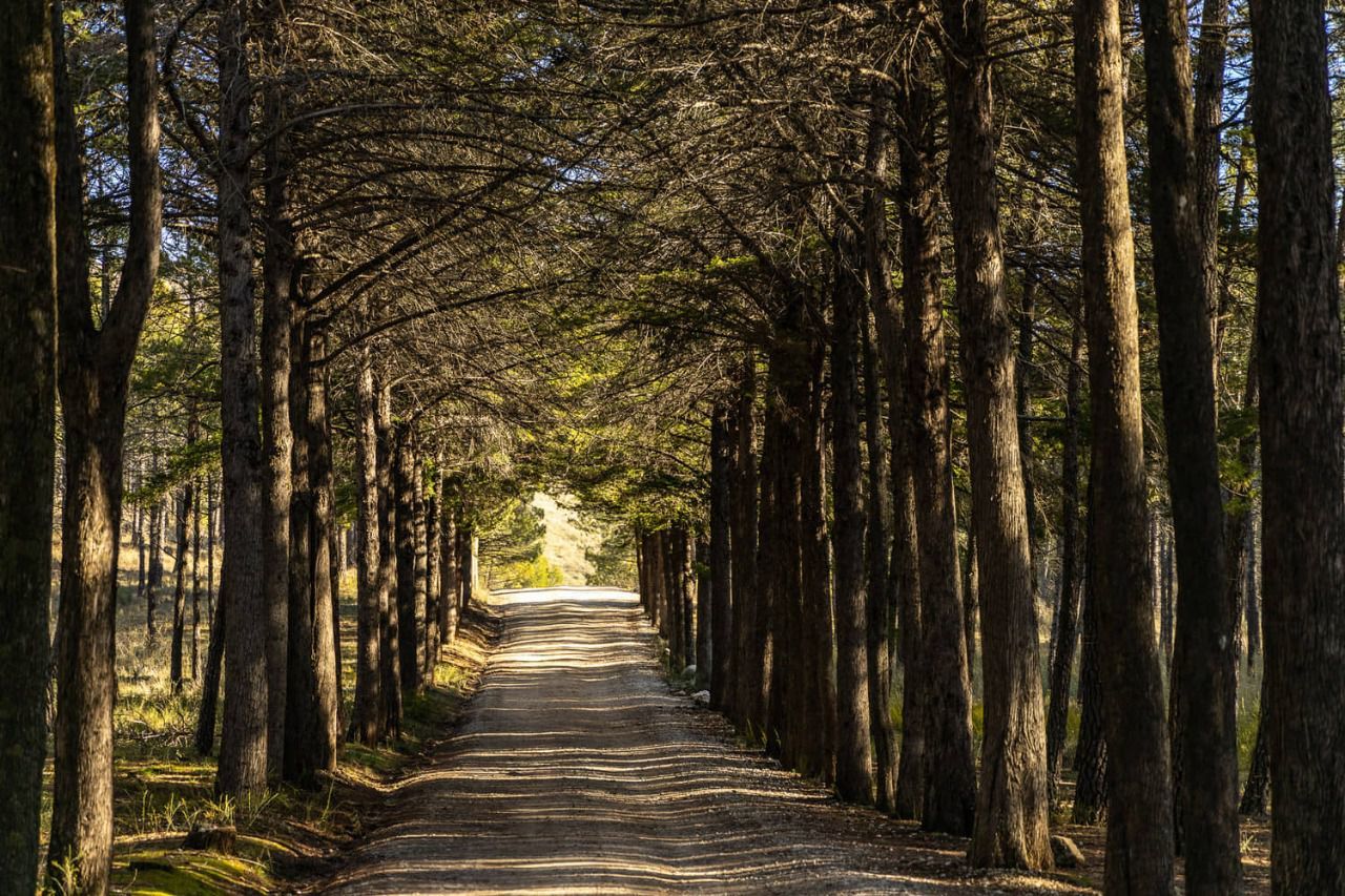 El entorno natural de la Dehesa de Valgallego en la Sierra Norte de Madrid.