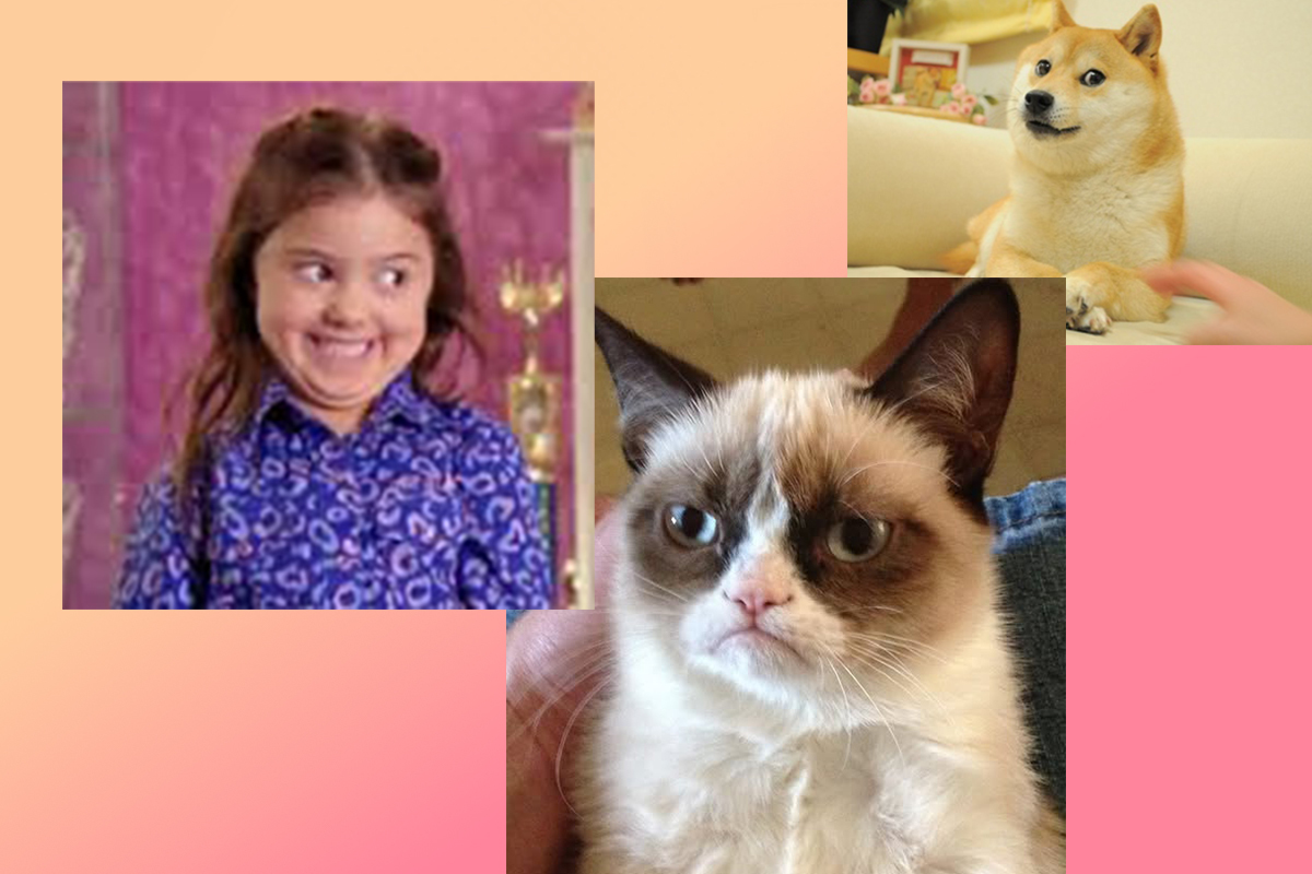 Kailia Posey, la gata Tardar Sauce y el perro Kabosu.