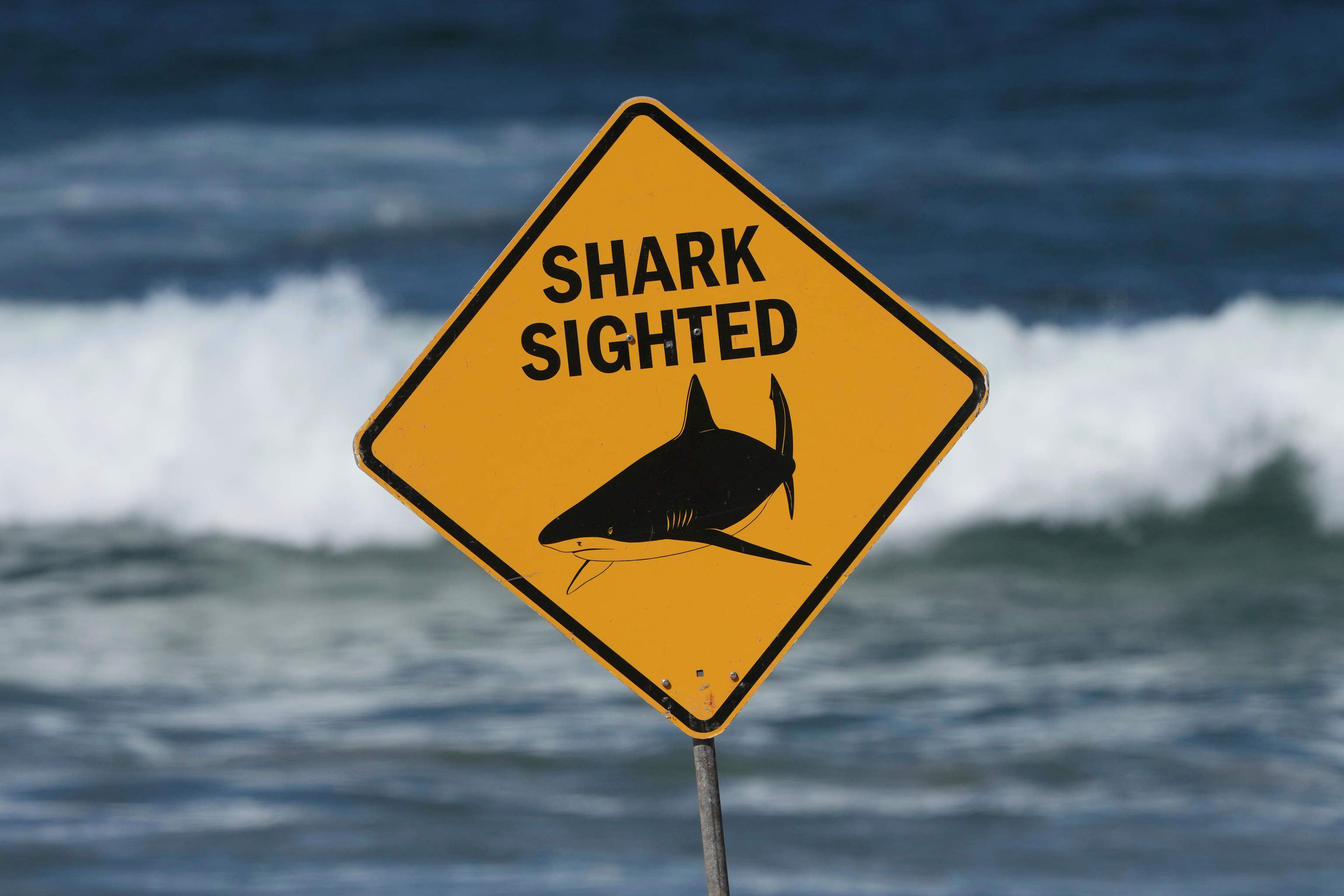 Un cartel que avisa de la presencia de tiburones en una playa de Australia.