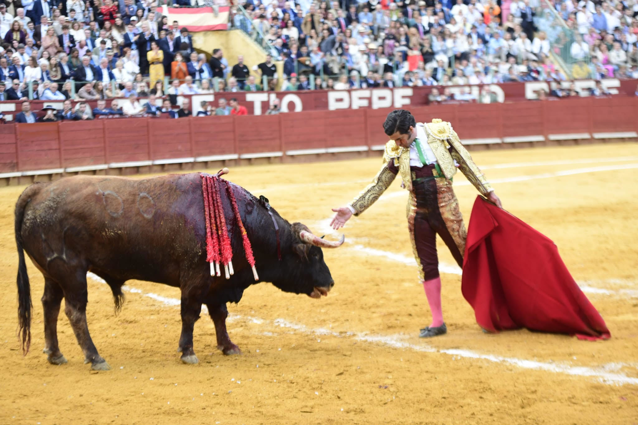 Morante de la Puebla causa baja este s�bado en Nimes