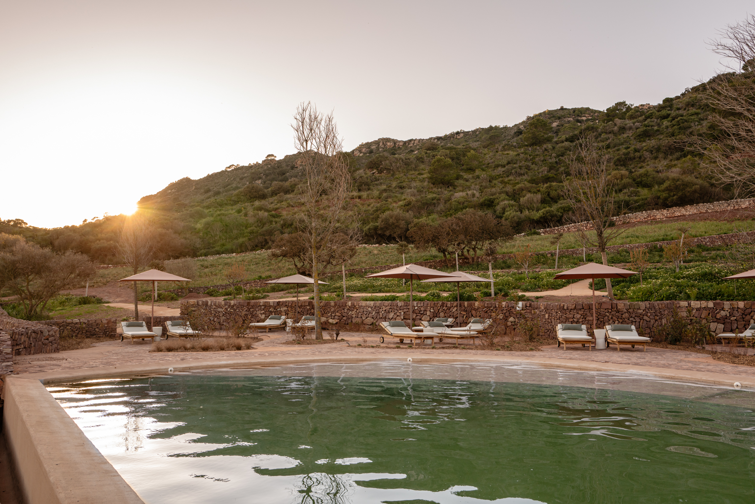 La piscina en medio de la finca de 800 hectáreas al norte de la isla.