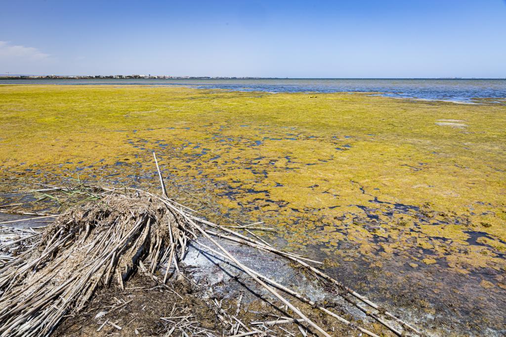El Mar Menor.