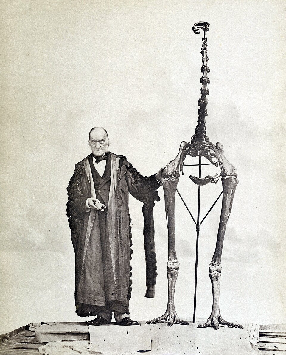 El naturalista Richard Owen,posa con un esqueleto de moa gigante en 1879