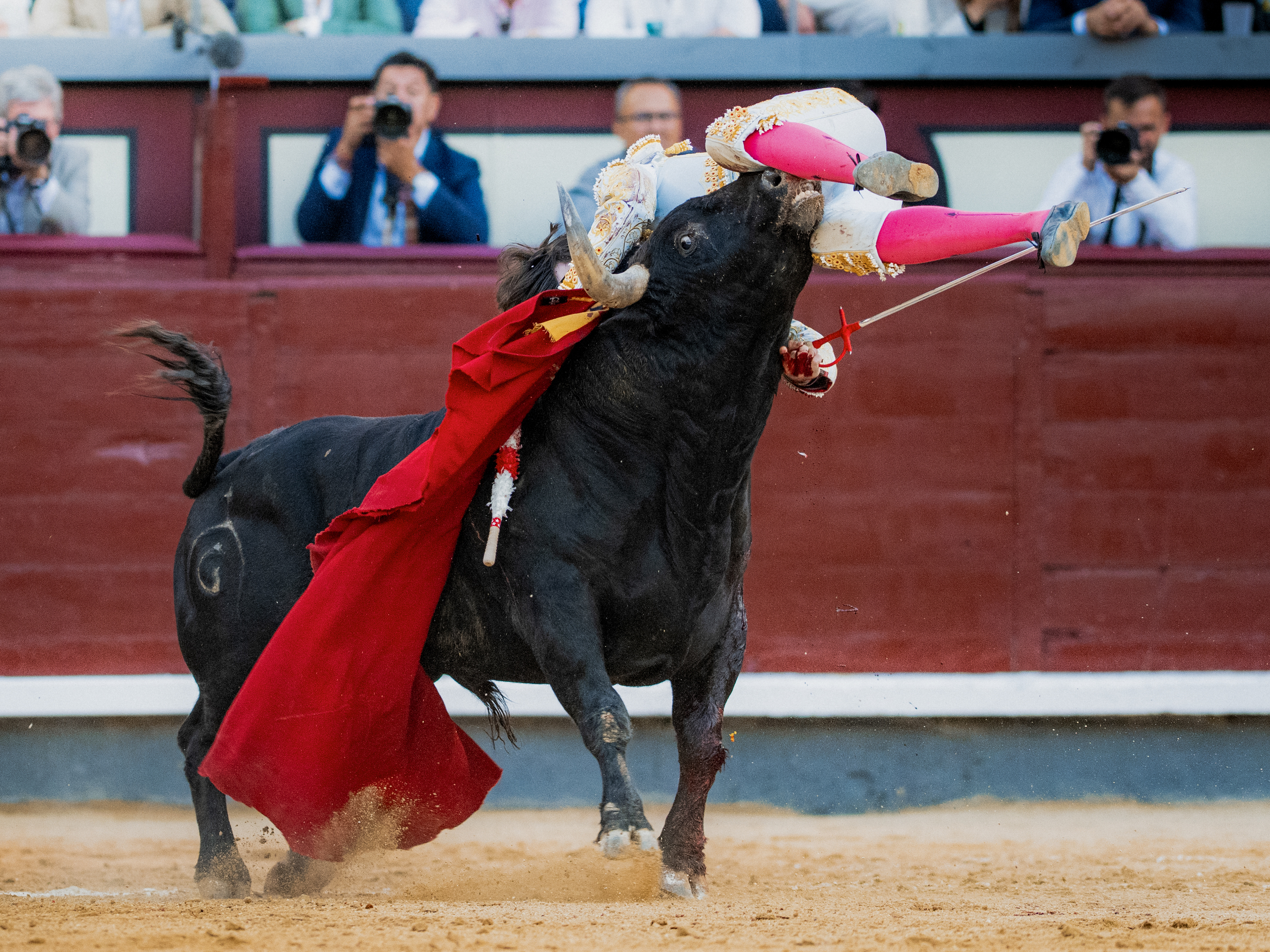 El novillero catalán Mario Vilau "tuvo mucha suerte" con la cornada, según el doctor García Padrós