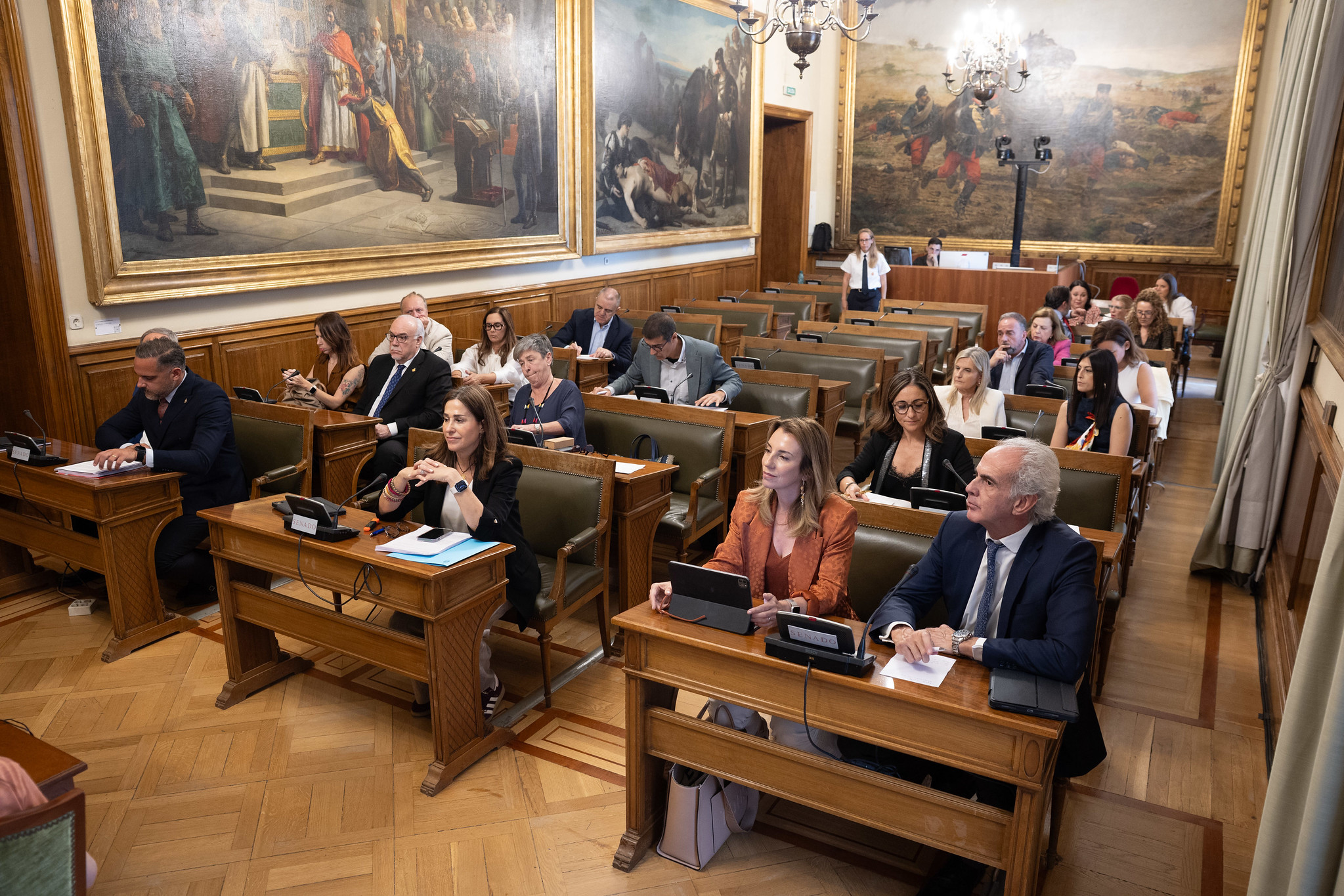 Votación del informe de la ponencia sobre salud mental y prevención del suicidio de la Comisión de Sanidad del Senado el pasado jueves.